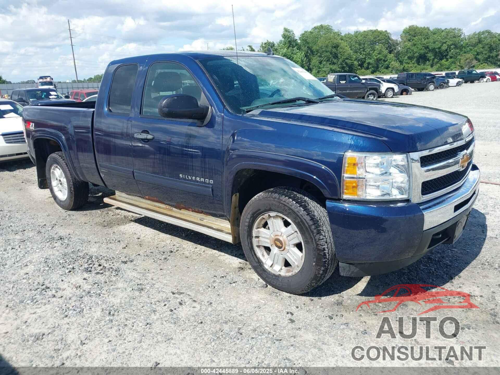 CHEVROLET SILVERADO 1500 2010 - 1GCSKSE33AZ271035