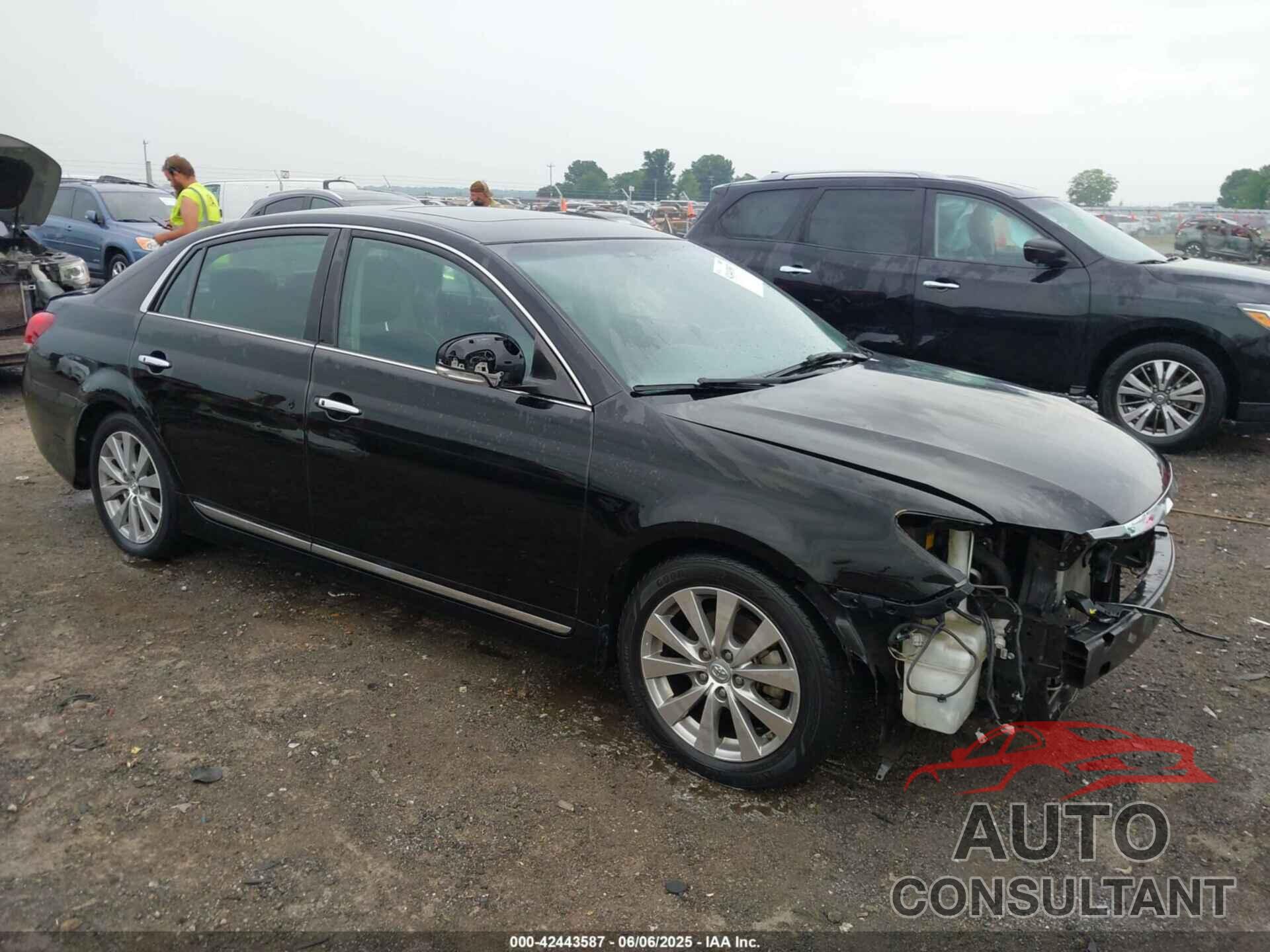 TOYOTA AVALON 2011 - 4T1BK3DB5BU407674