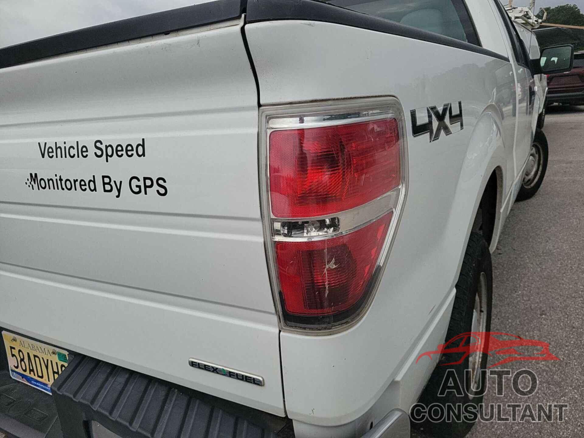 FORD F-150 2013 - 1FTFX1EFXDKD06755