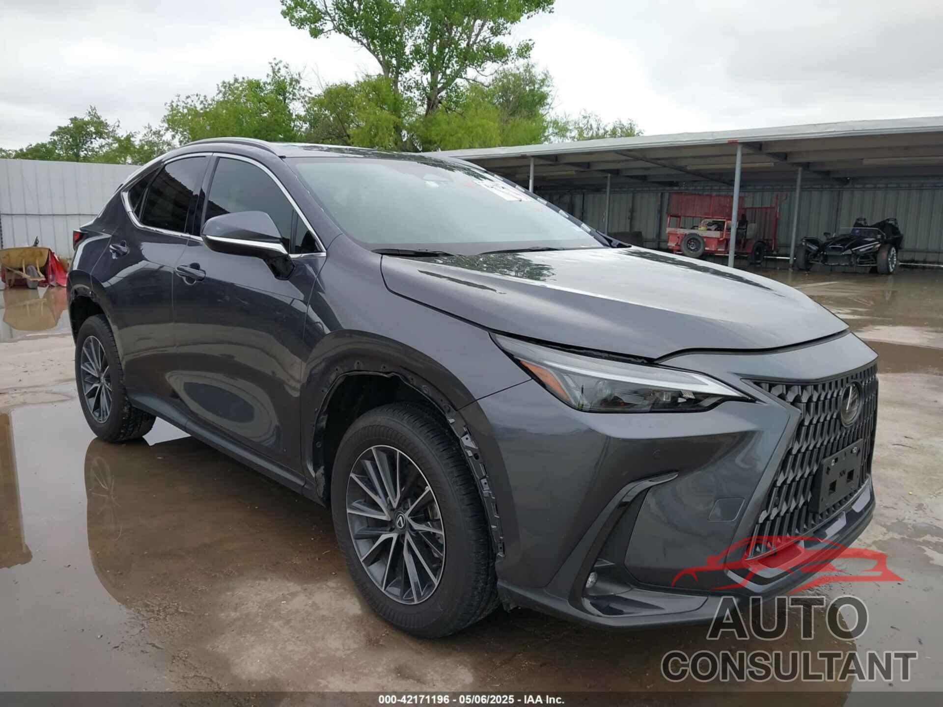 LEXUS NX 250 2024 - 2T2GDCAZ7RC015465