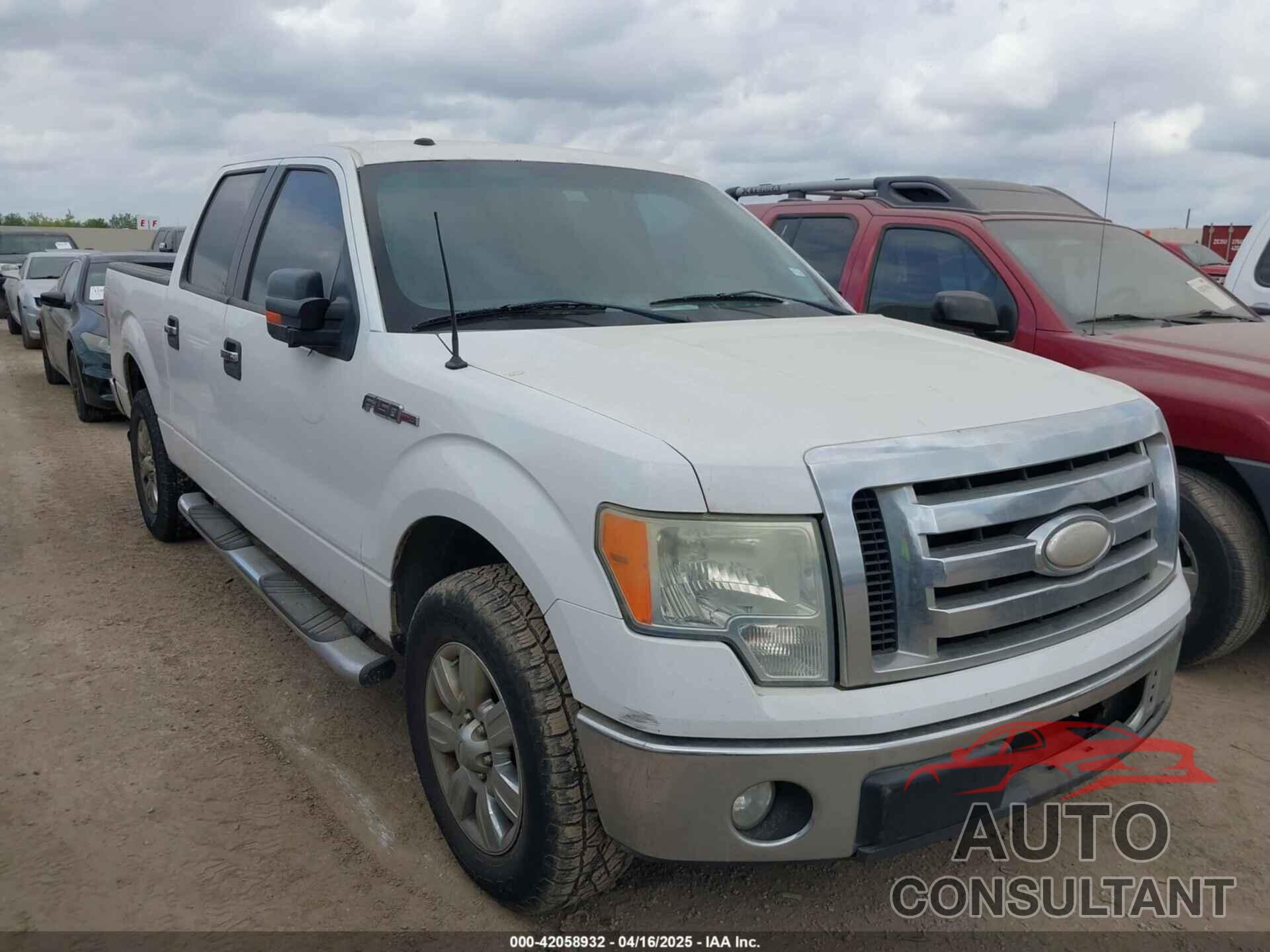 FORD F-150 2009 - 1FTRW12839FA41425