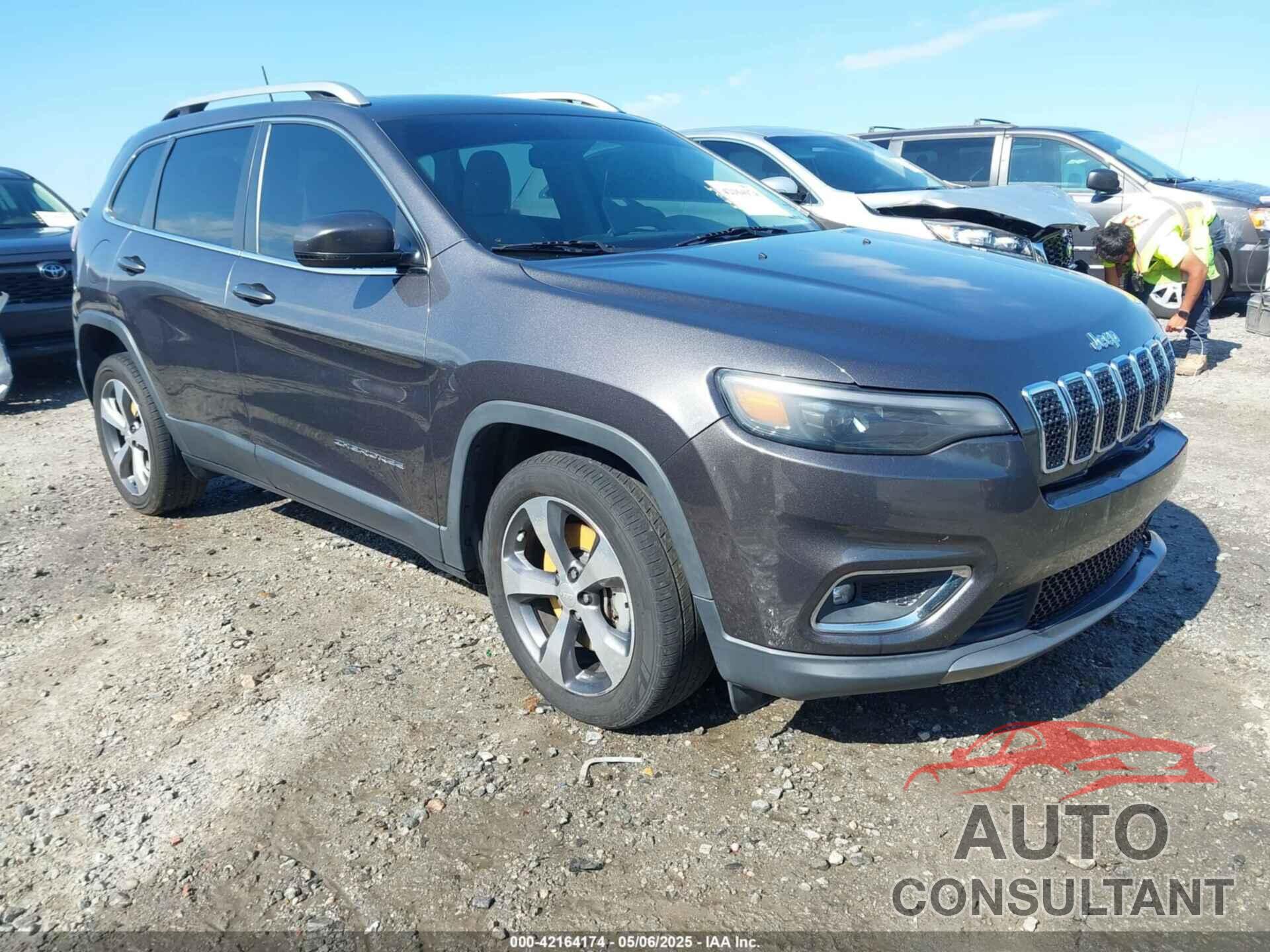 JEEP CHEROKEE 2019 - 1C4PJLDX1KD173431