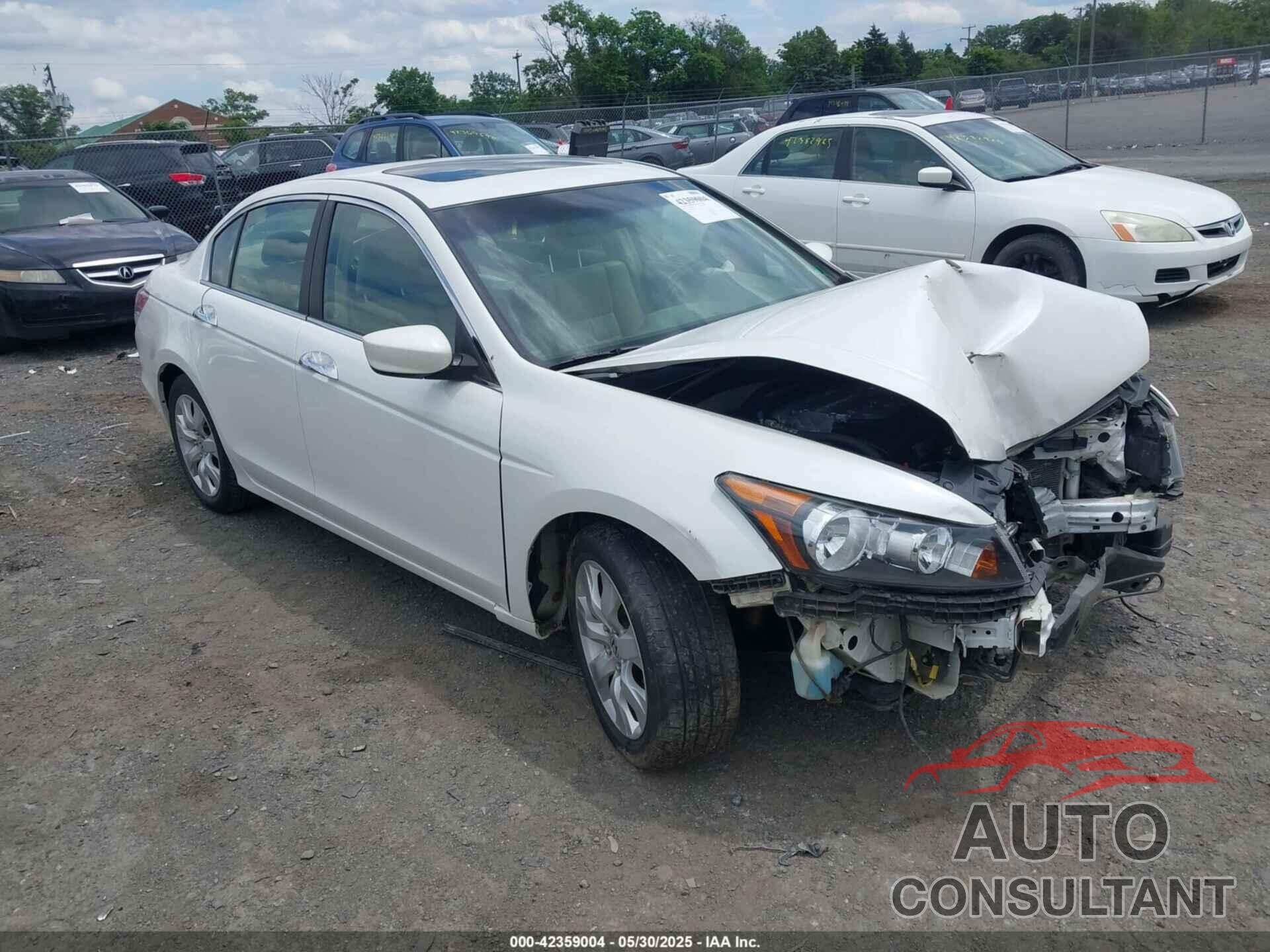HONDA ACCORD 2009 - 5KBCP36899B002904