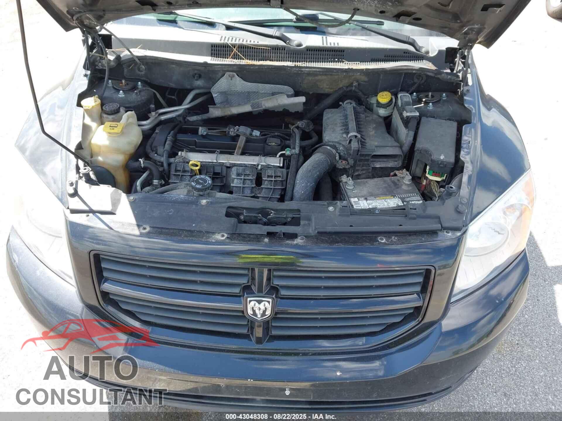 DODGE CALIBER 2009 - 1B3HB48A59D183646