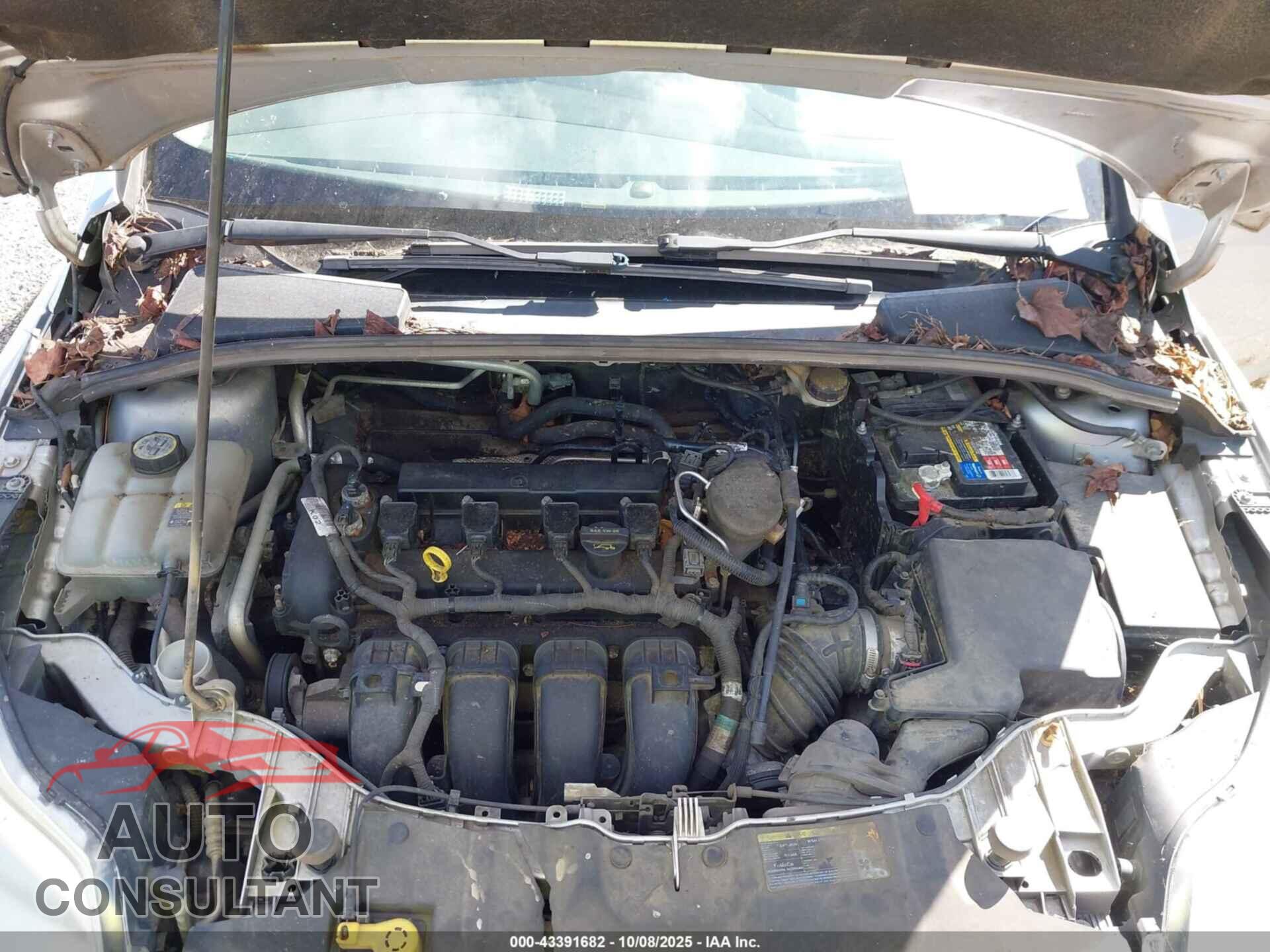 FORD FOCUS 2012 - 1FAHP3K23CL282125