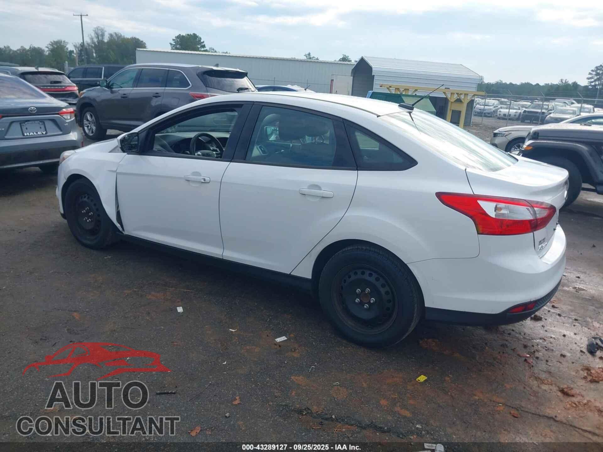 FORD FOCUS 2012 - 1FAHP3F26CL310302