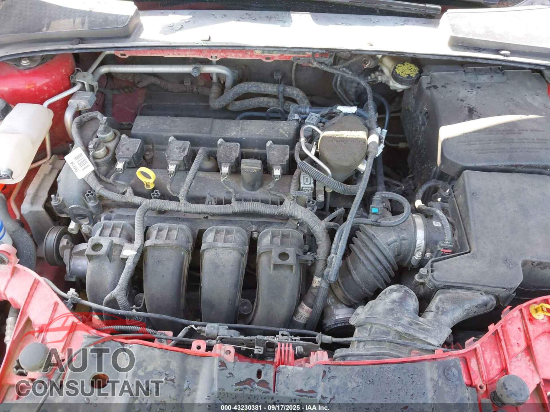 FORD FOCUS 2016 - 1FADP3K29GL307565