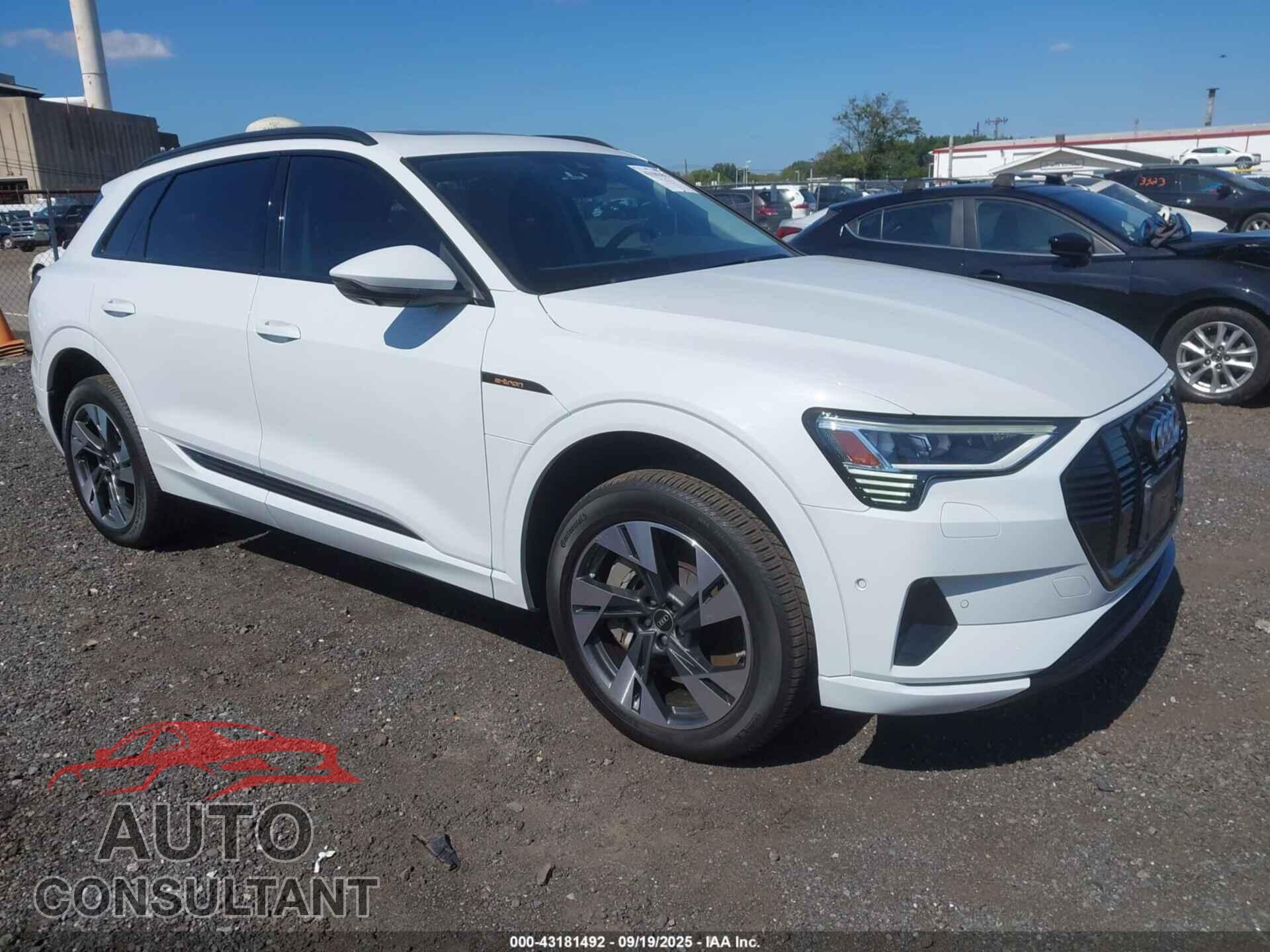 AUDI E-TRON 2022 - WA1AAAGE0NB042425