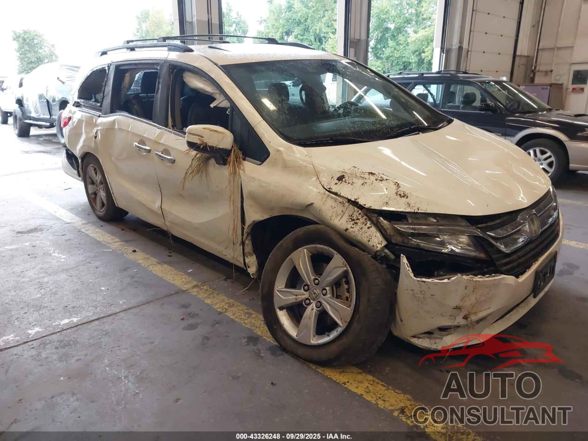 HONDA ODYSSEY 2019 - 5FNRL6H70KB033040
