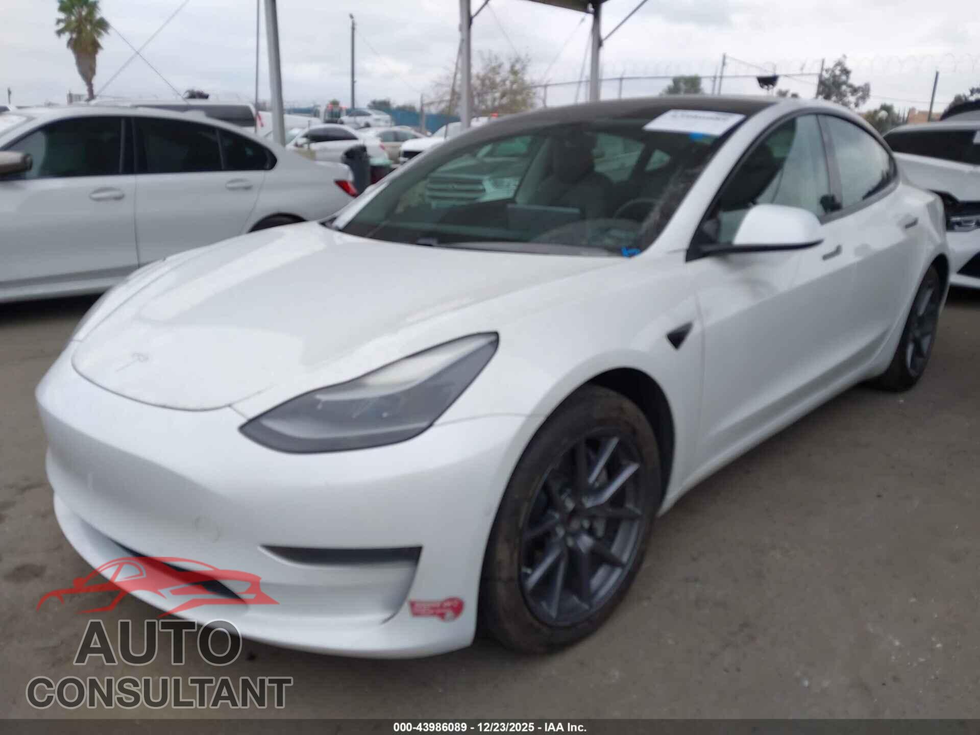 TESLA MODEL 3 2021 - 5YJ3E1EA2MF940491