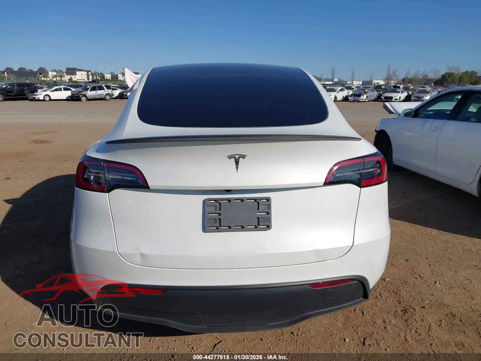 TESLA MODEL Y 2024 - 7SAYGDED1RF193049