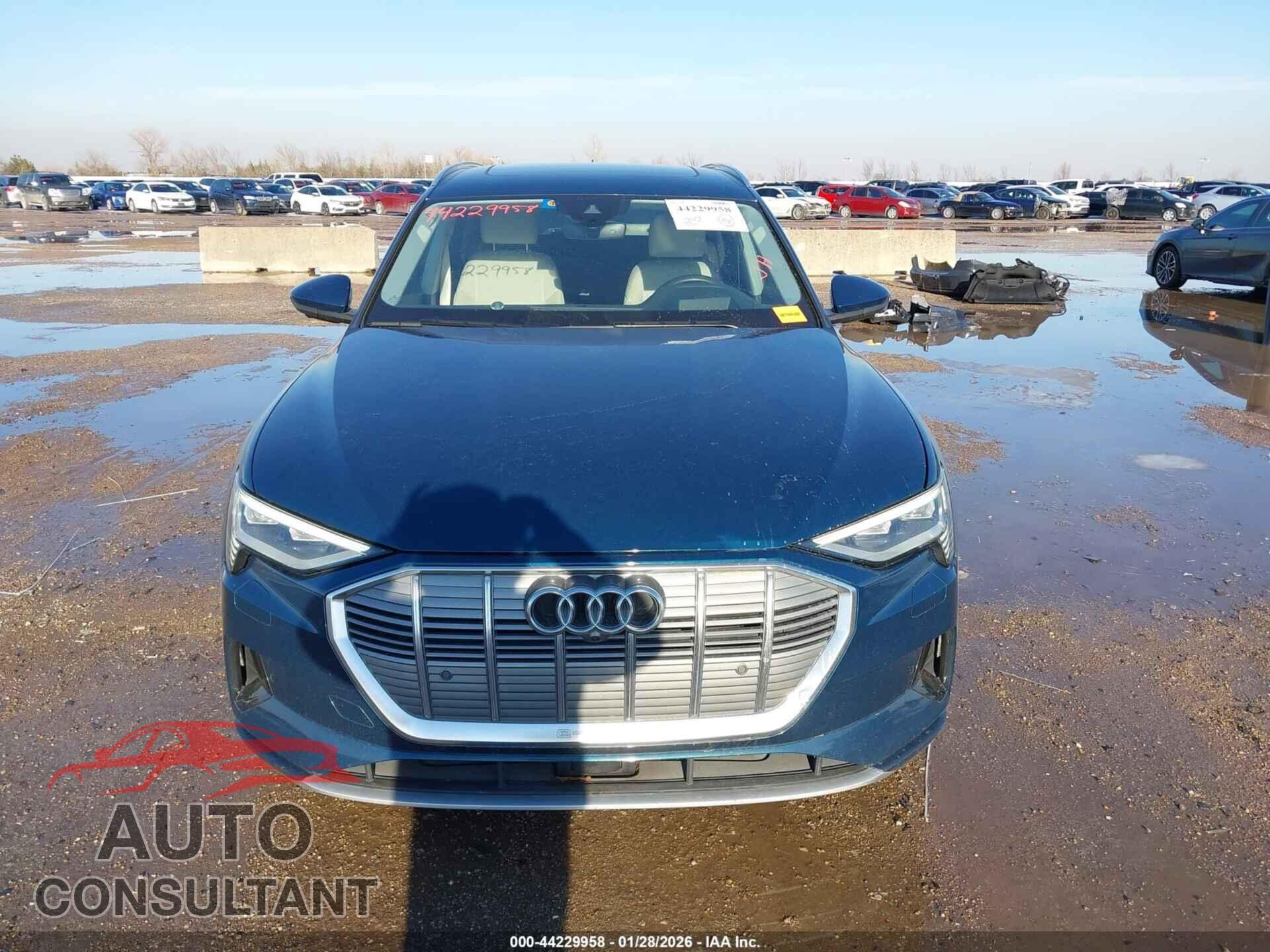 AUDI E-TRON 2019 - WA1VABGE4KB010161