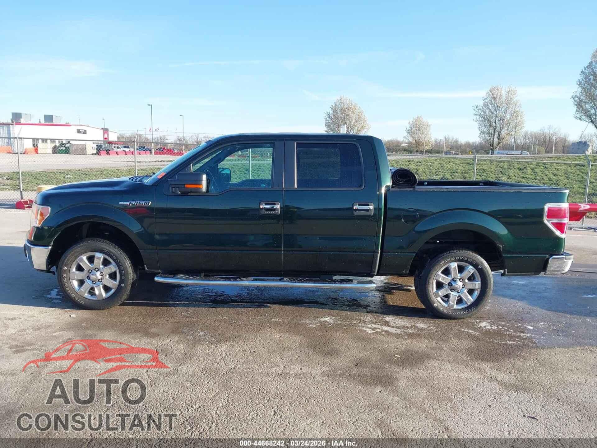 FORD F-150 2013 - 1FTFW1CF1DFB01128