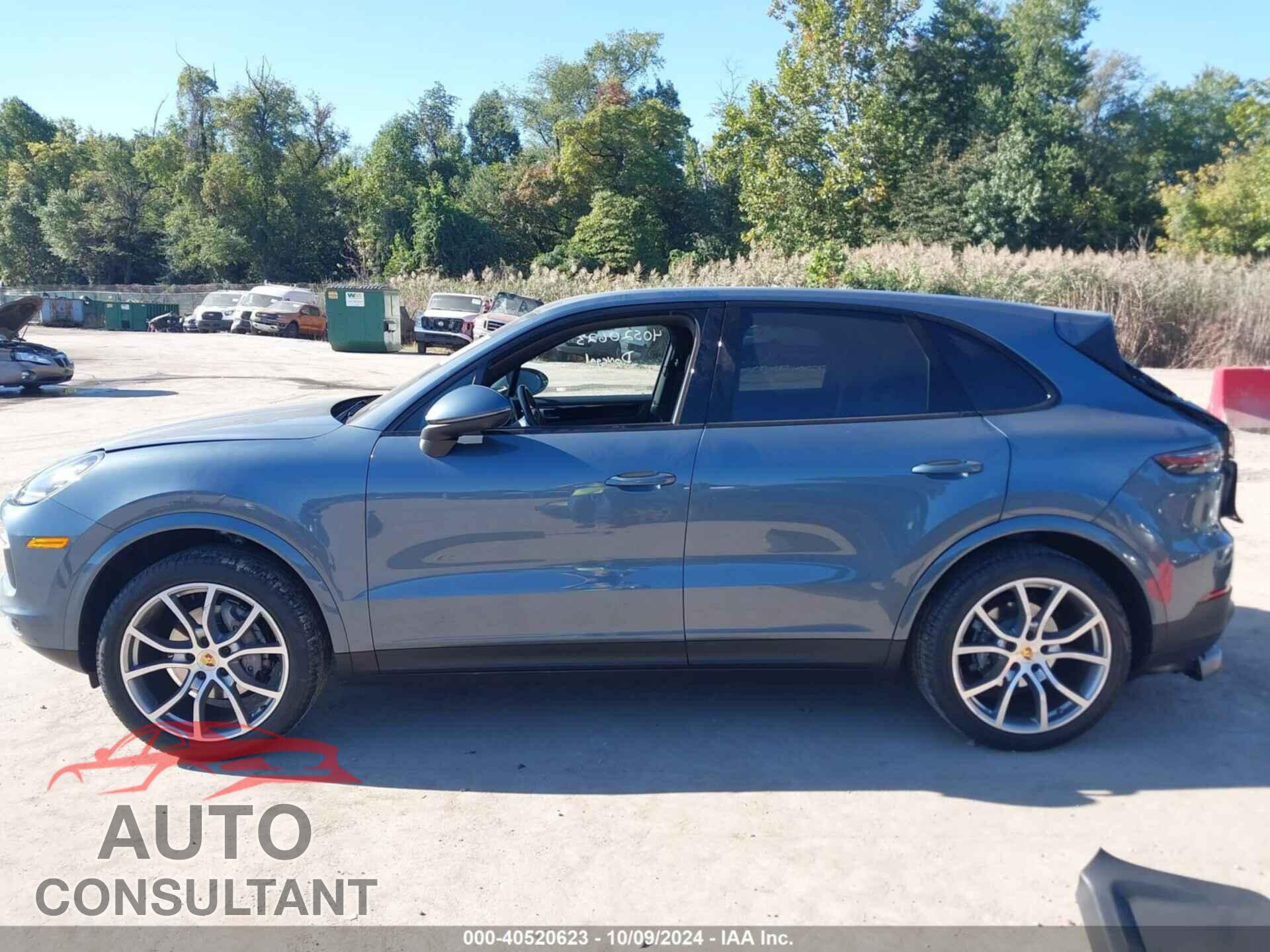 PORSCHE CAYENNE 2020 - WP1AA2AYXLDA04523