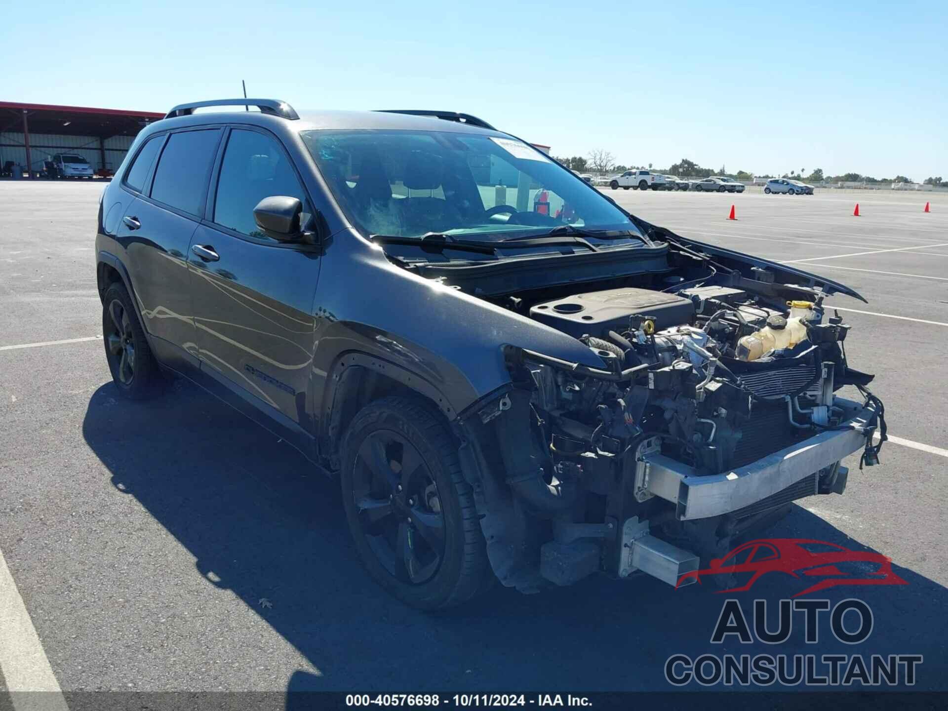 JEEP CHEROKEE 2019 - 1C4PJLLN0KD305286