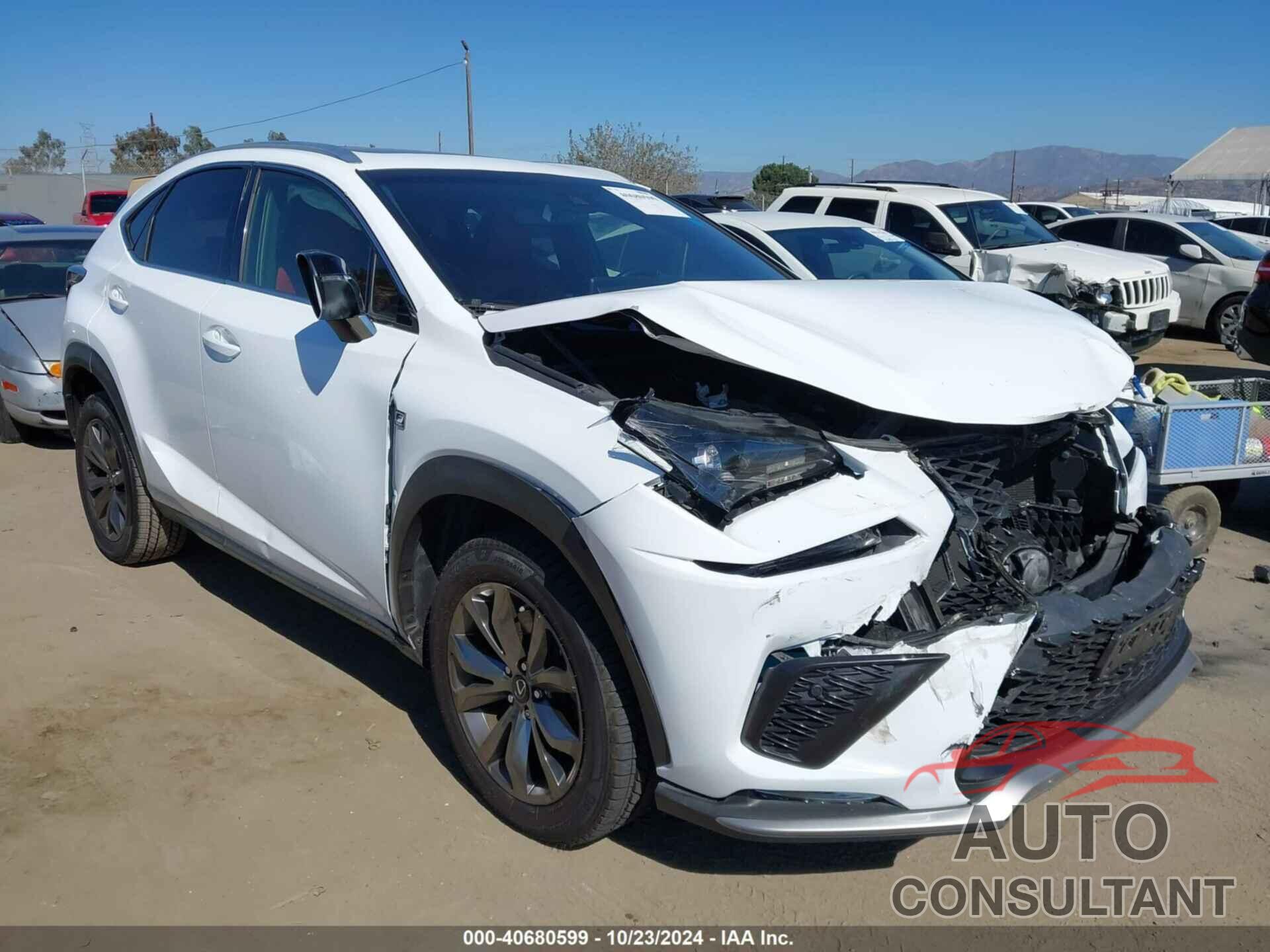 LEXUS NX 300 2019 - JTJYARBZ1K2137341