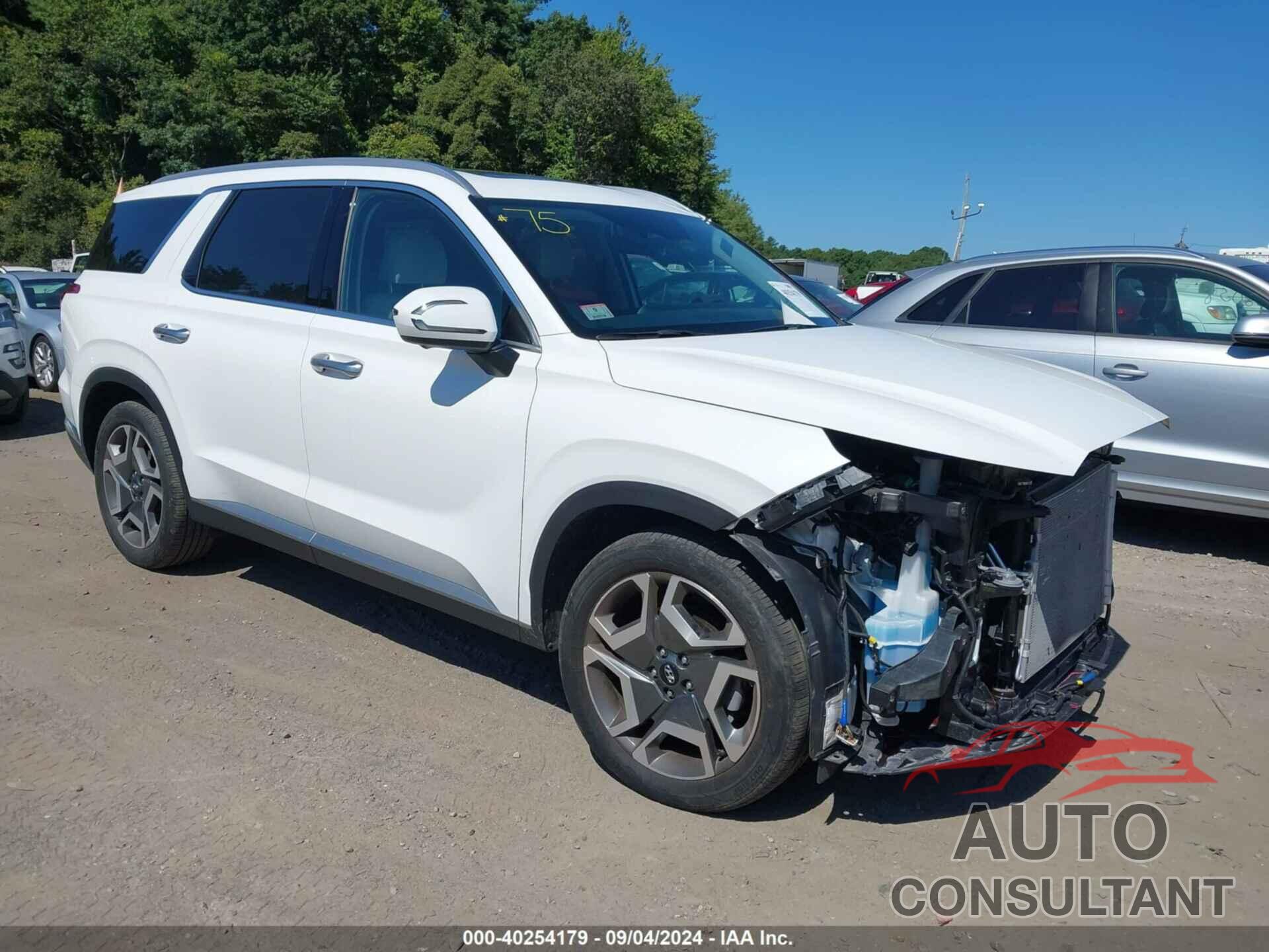 HYUNDAI PALISADE 2023 - KM8R5DGE4PU503286