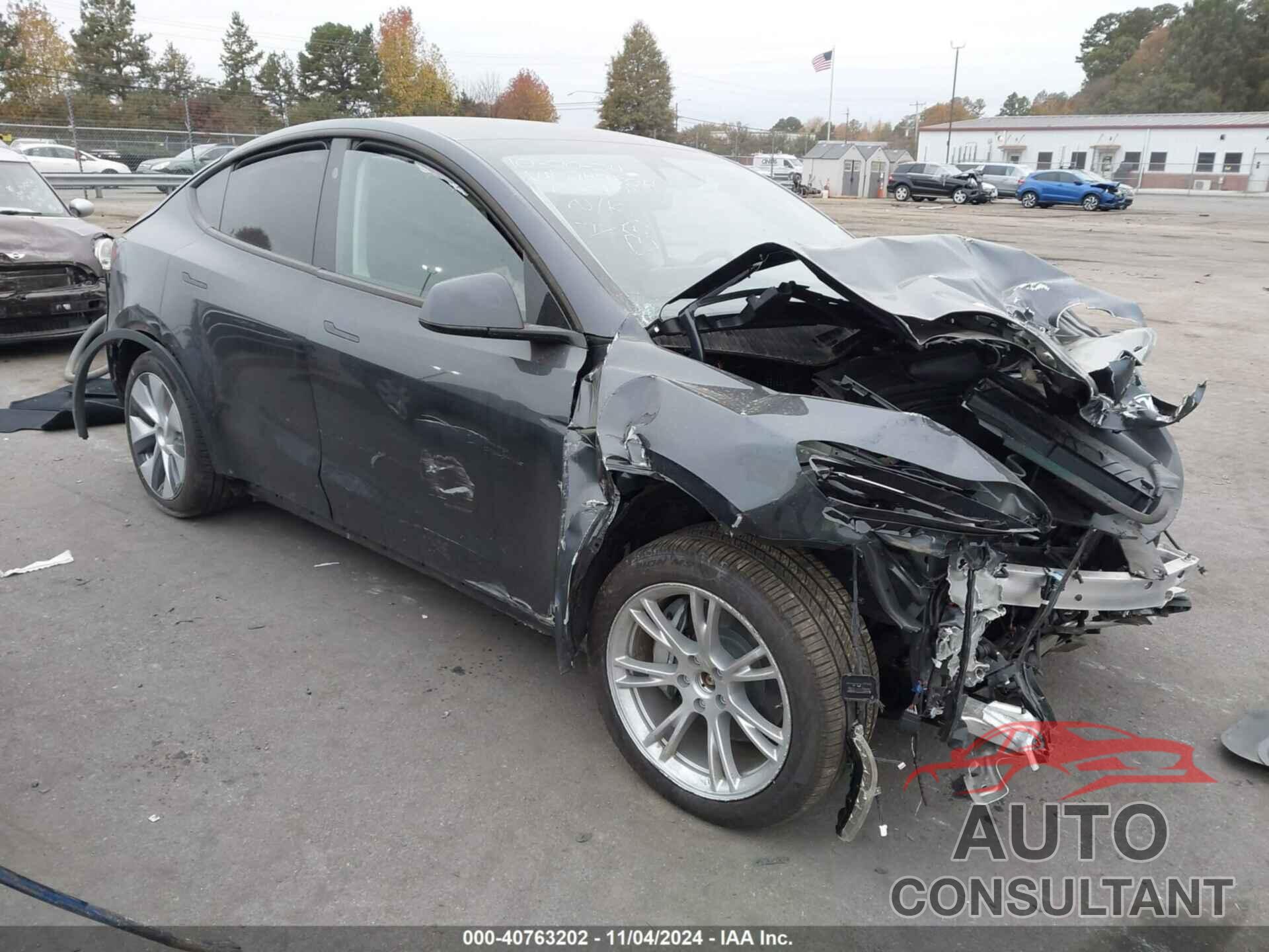 TESLA MODEL Y 2024 - 7SAYGDEE6RA247824