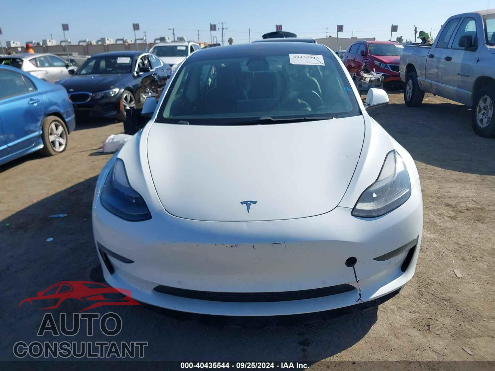 TESLA MODEL 3 2021 - 5YJ3E1EA1MF877366