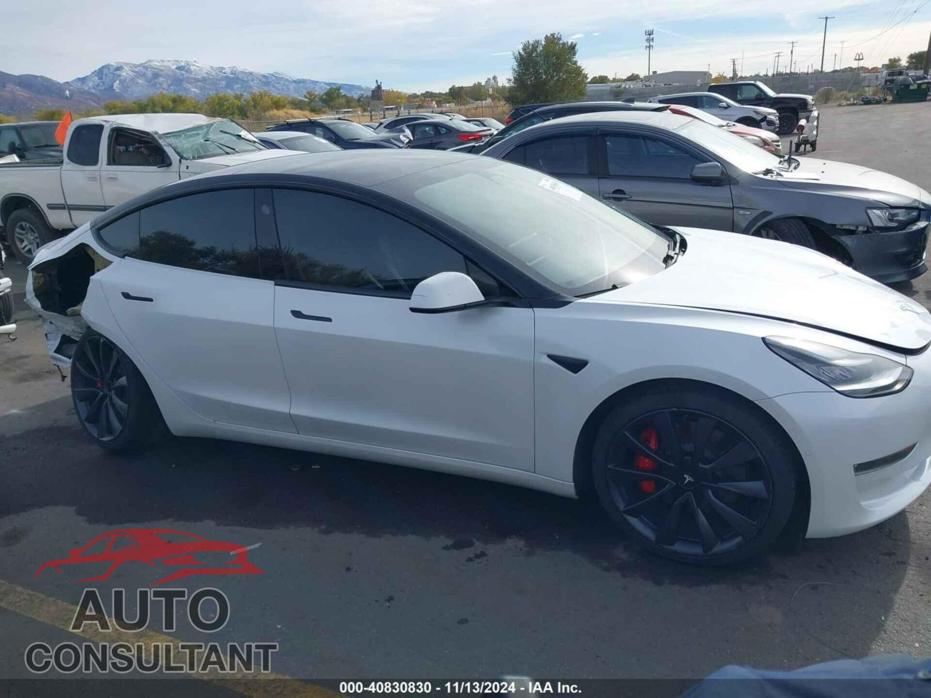 TESLA MODEL 3 2020 - 5YJ3E1EC1LF807866