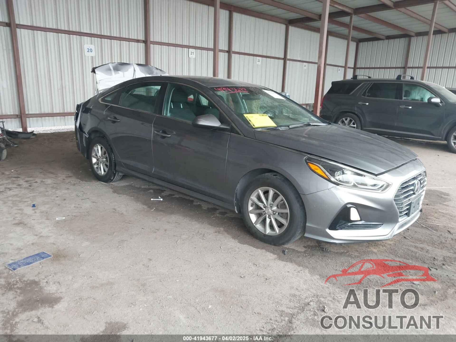 HYUNDAI SONATA 2019 - 5NPE24AF5KH817870