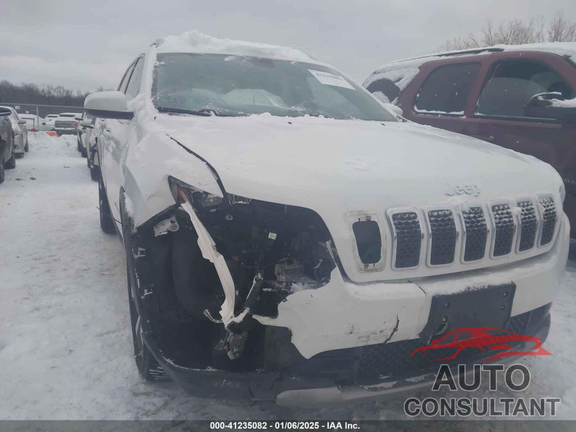 JEEP CHEROKEE 2019 - 1C4PJLDX2KD111049
