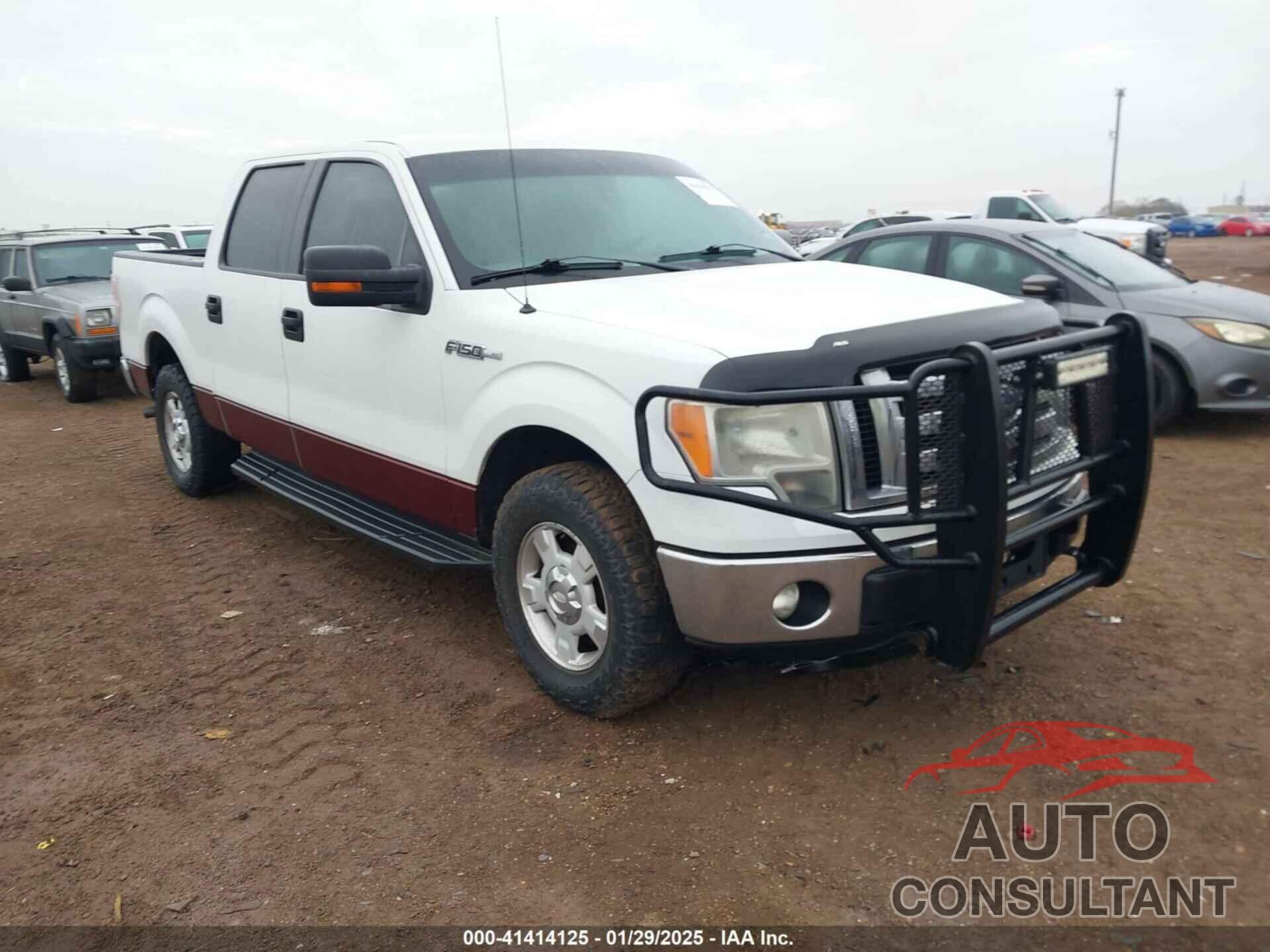 FORD F-150 2011 - 1FTEW1CM4BKD06392