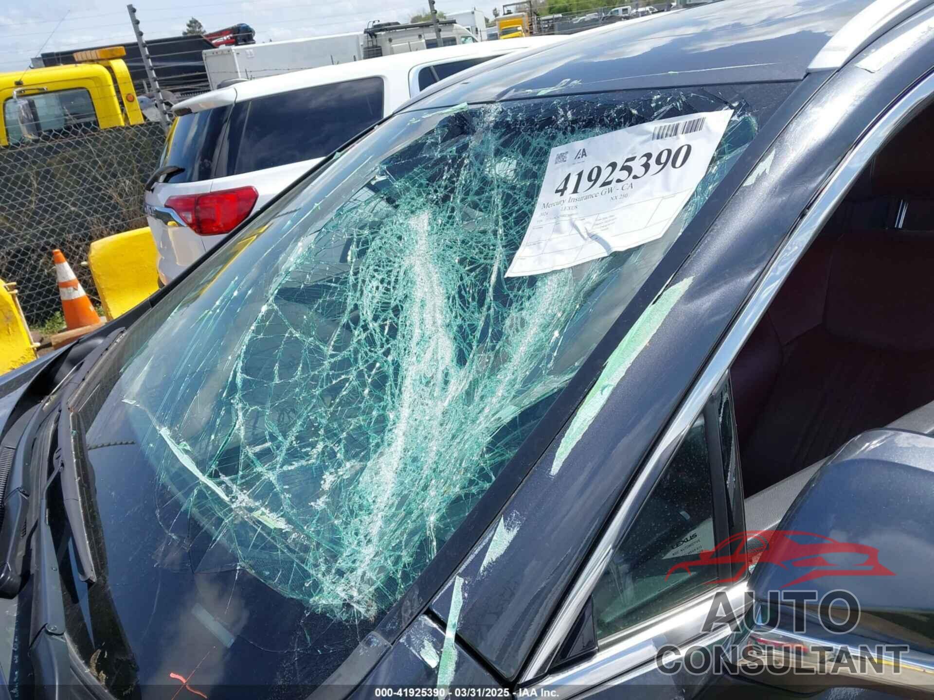 LEXUS NX 250 2024 - 2T2GDCAZ4RC006643
