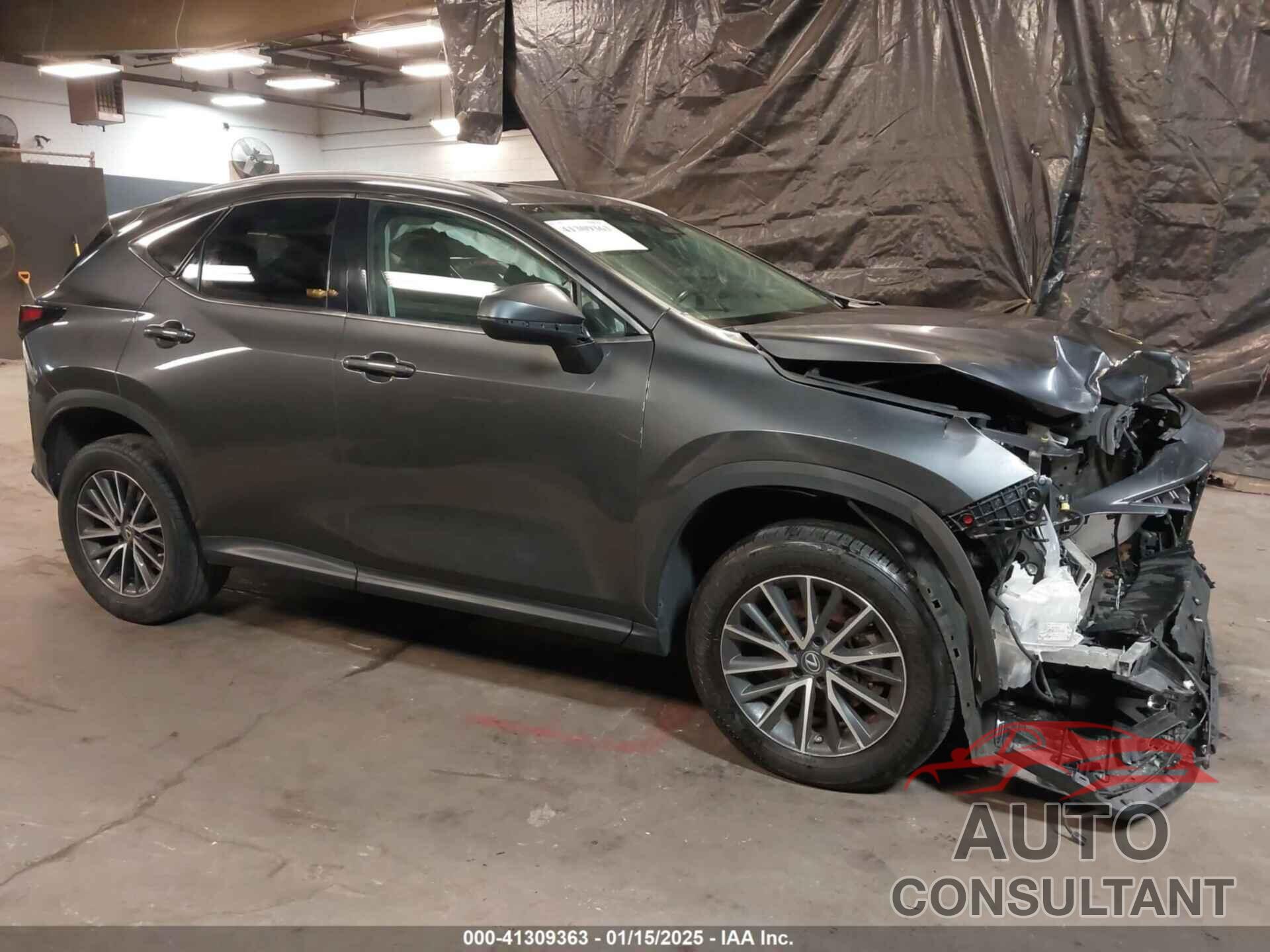 LEXUS NX 250 2023 - 2T2GDCAZ0PC004515