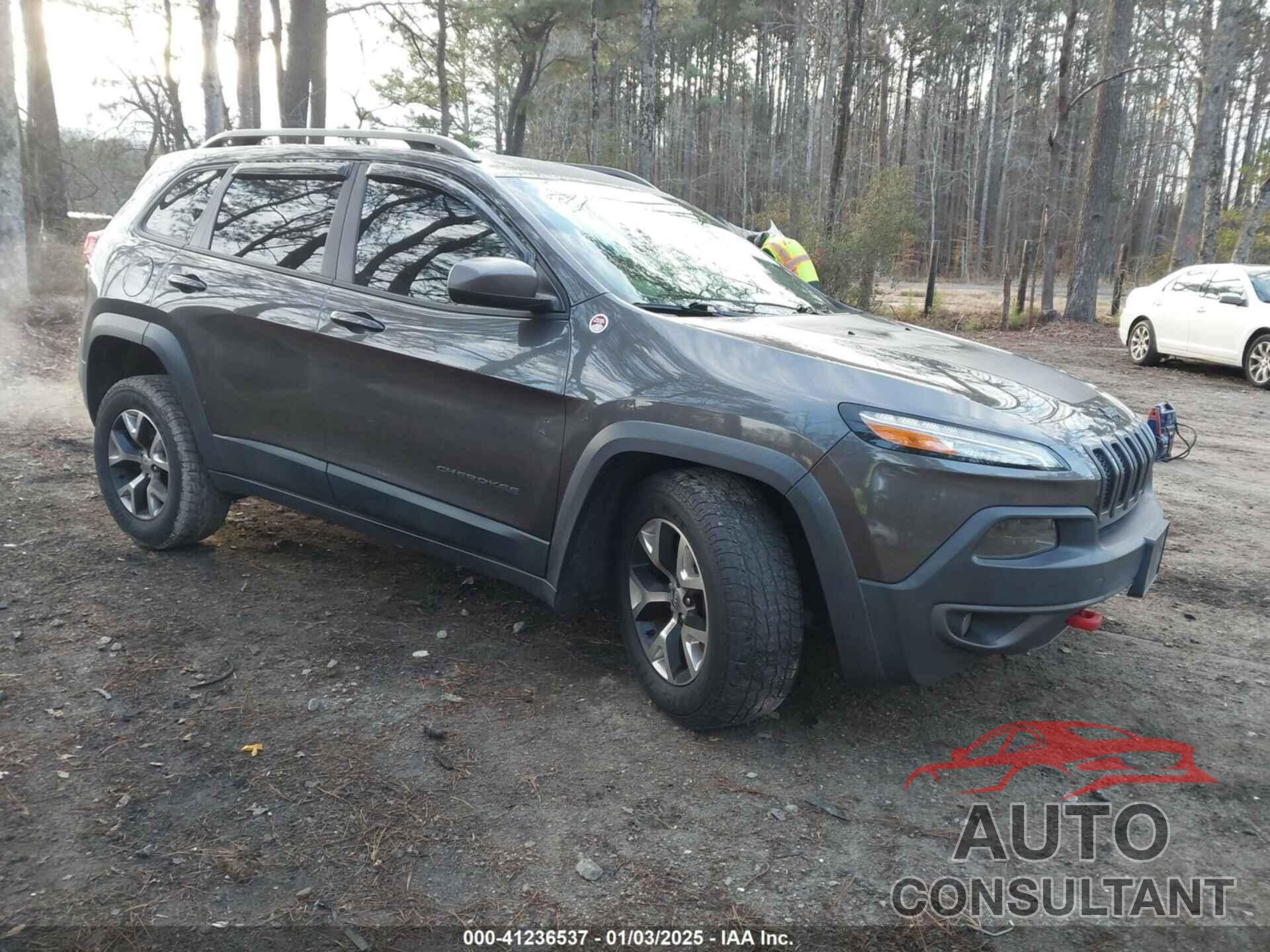 JEEP CHEROKEE 2016 - 1C4PJMBSXGW225910