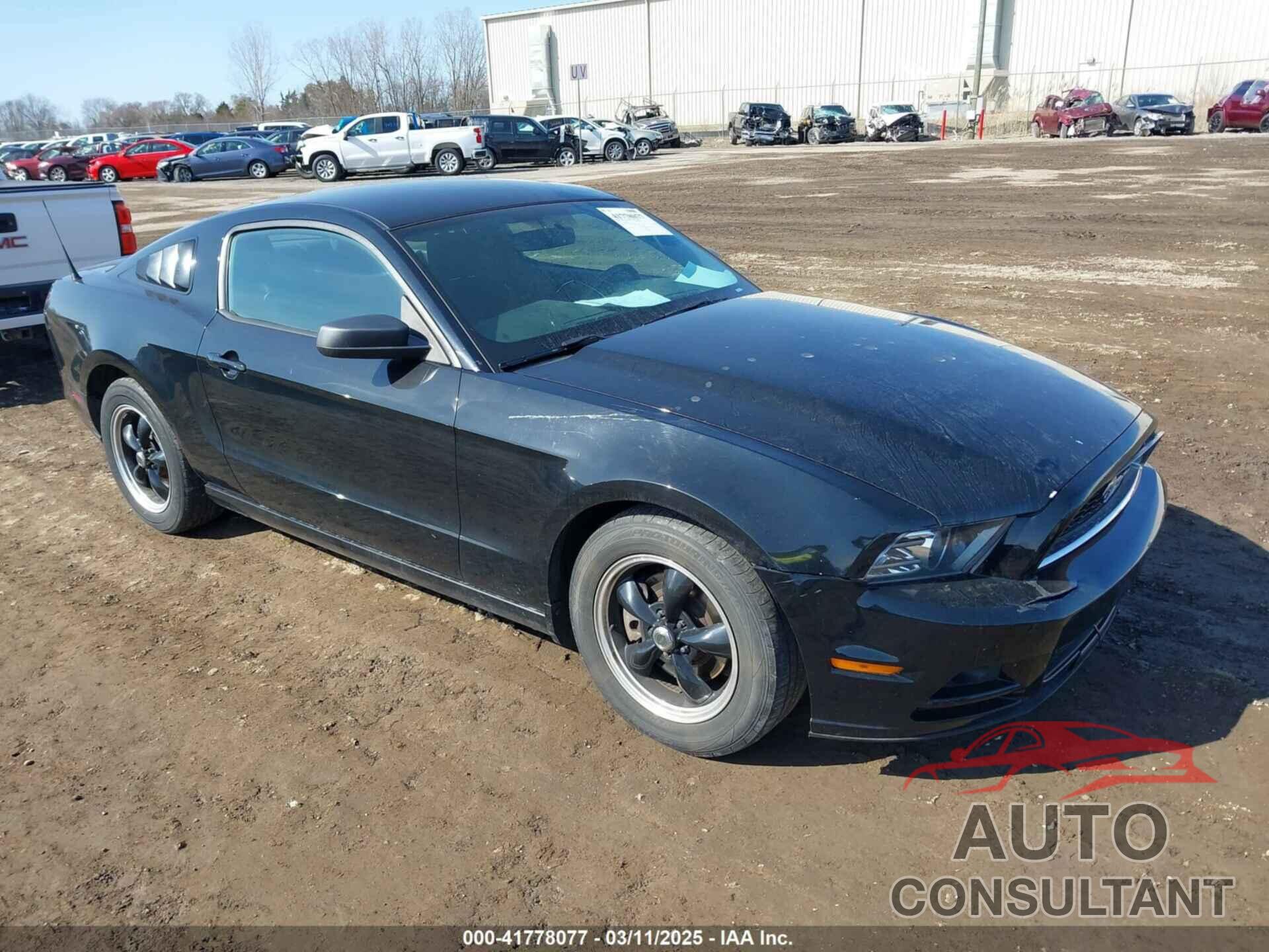 FORD MUSTANG 2013 - 1ZVBP8AM3D5235860