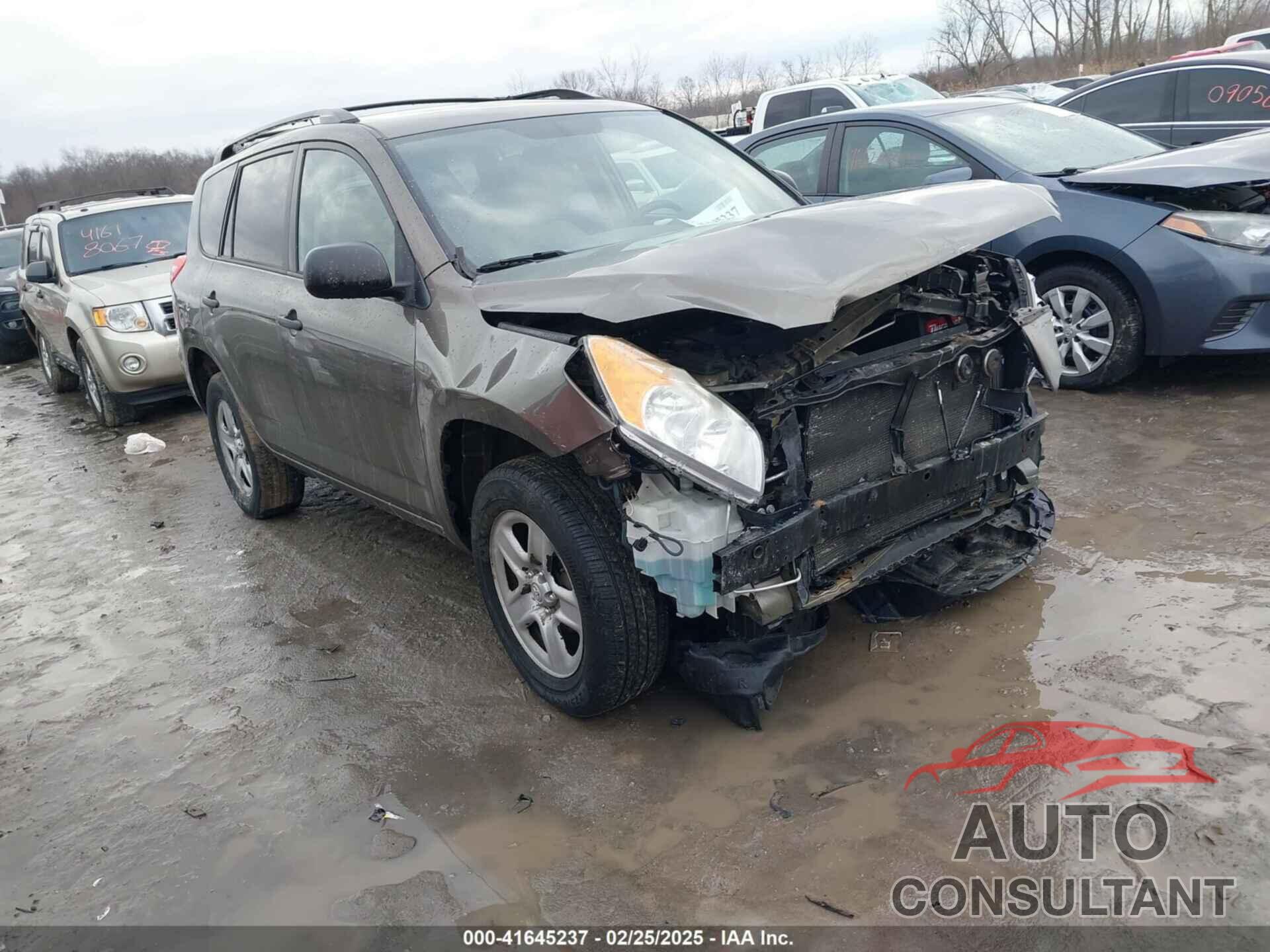 TOYOTA RAV4 2009 - 2T3BF33V69W007849