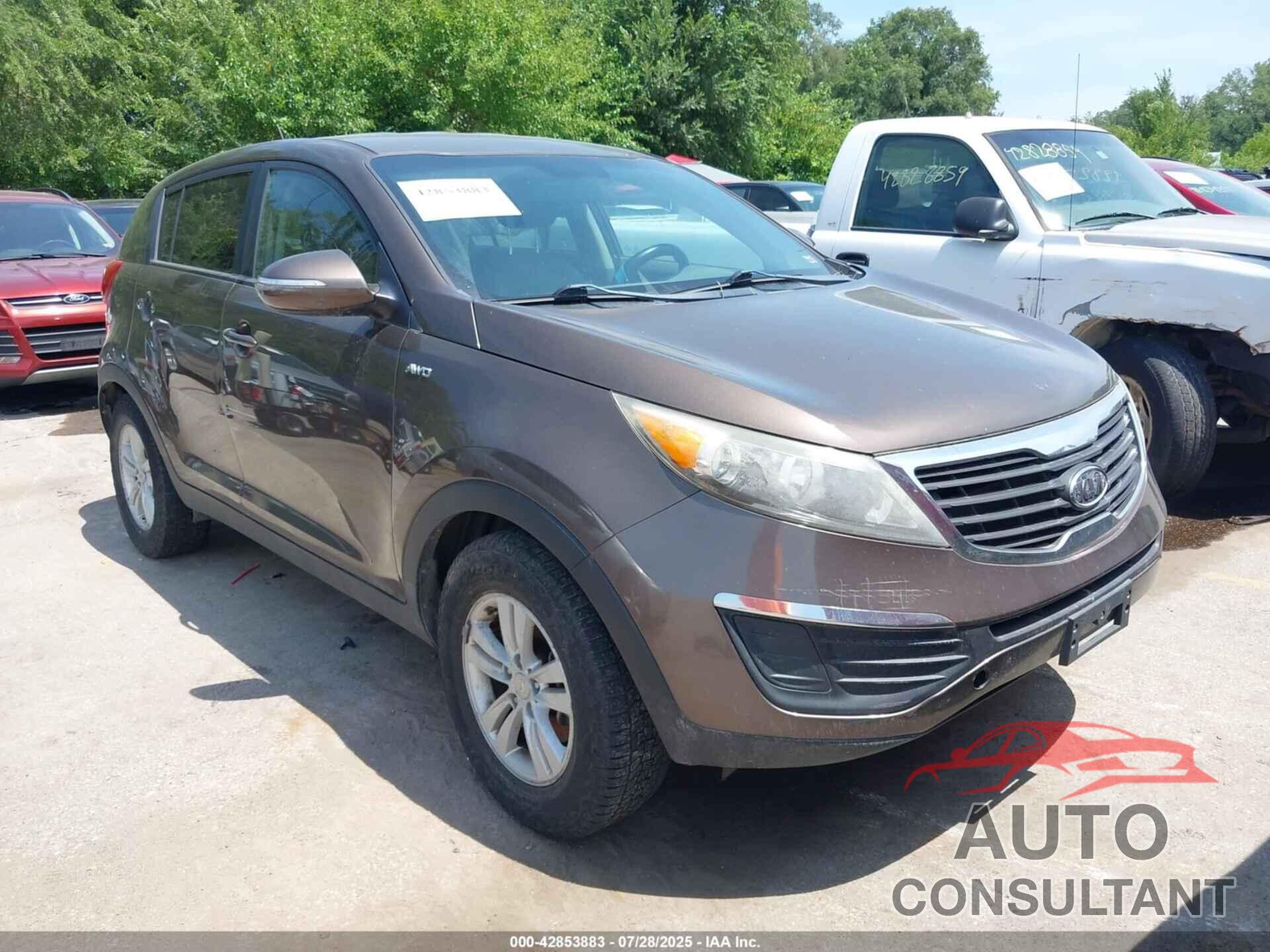 KIA SPORTAGE 2011 - KNDPBCA2XB7044124