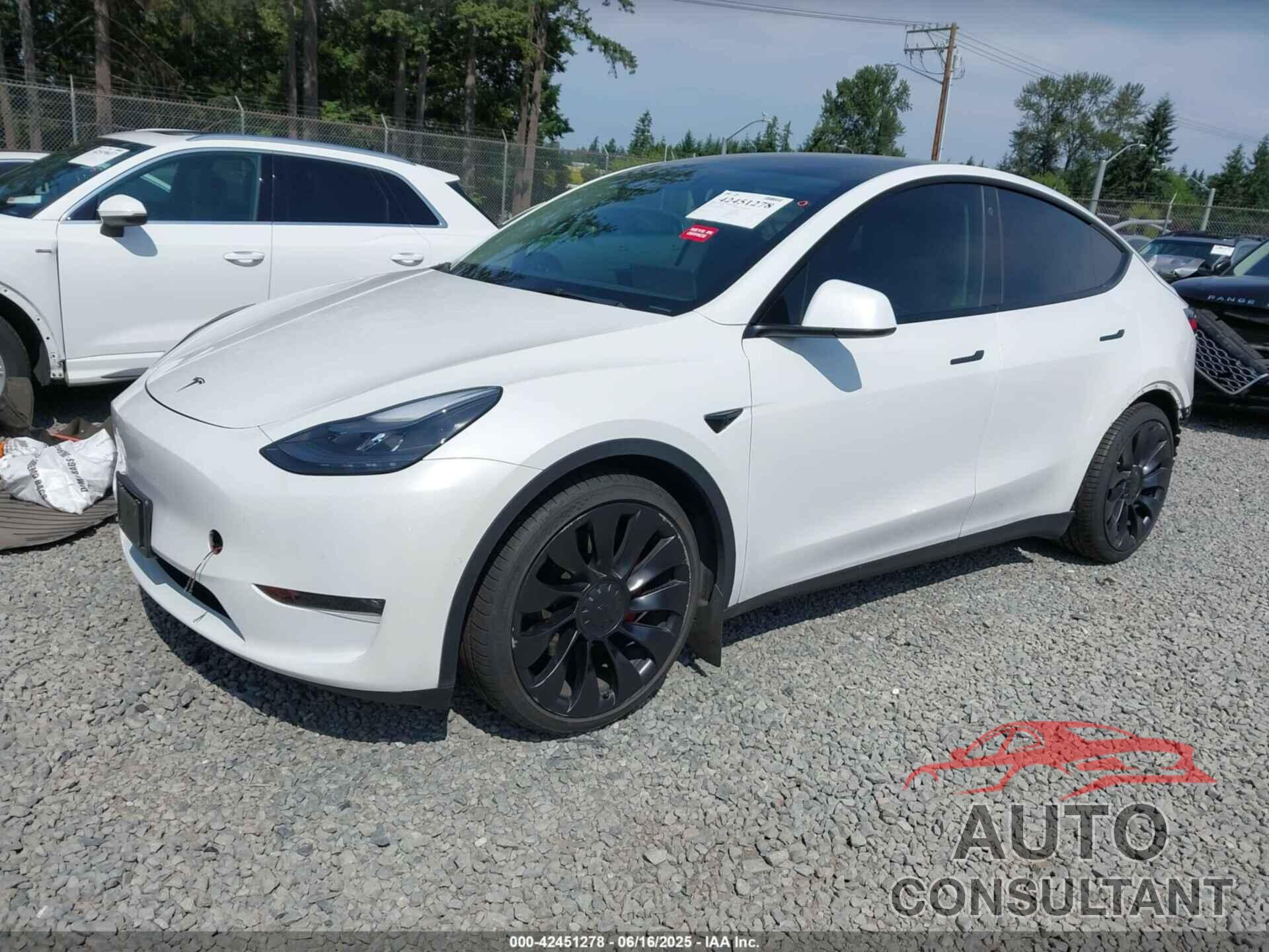 TESLA MODEL Y 2022 - 7SAYGDEF9NF400265