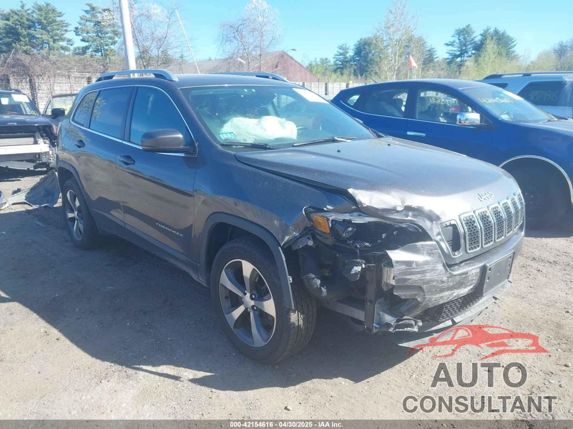 JEEP CHEROKEE 2019 - 1C4PJMDN5KD169421