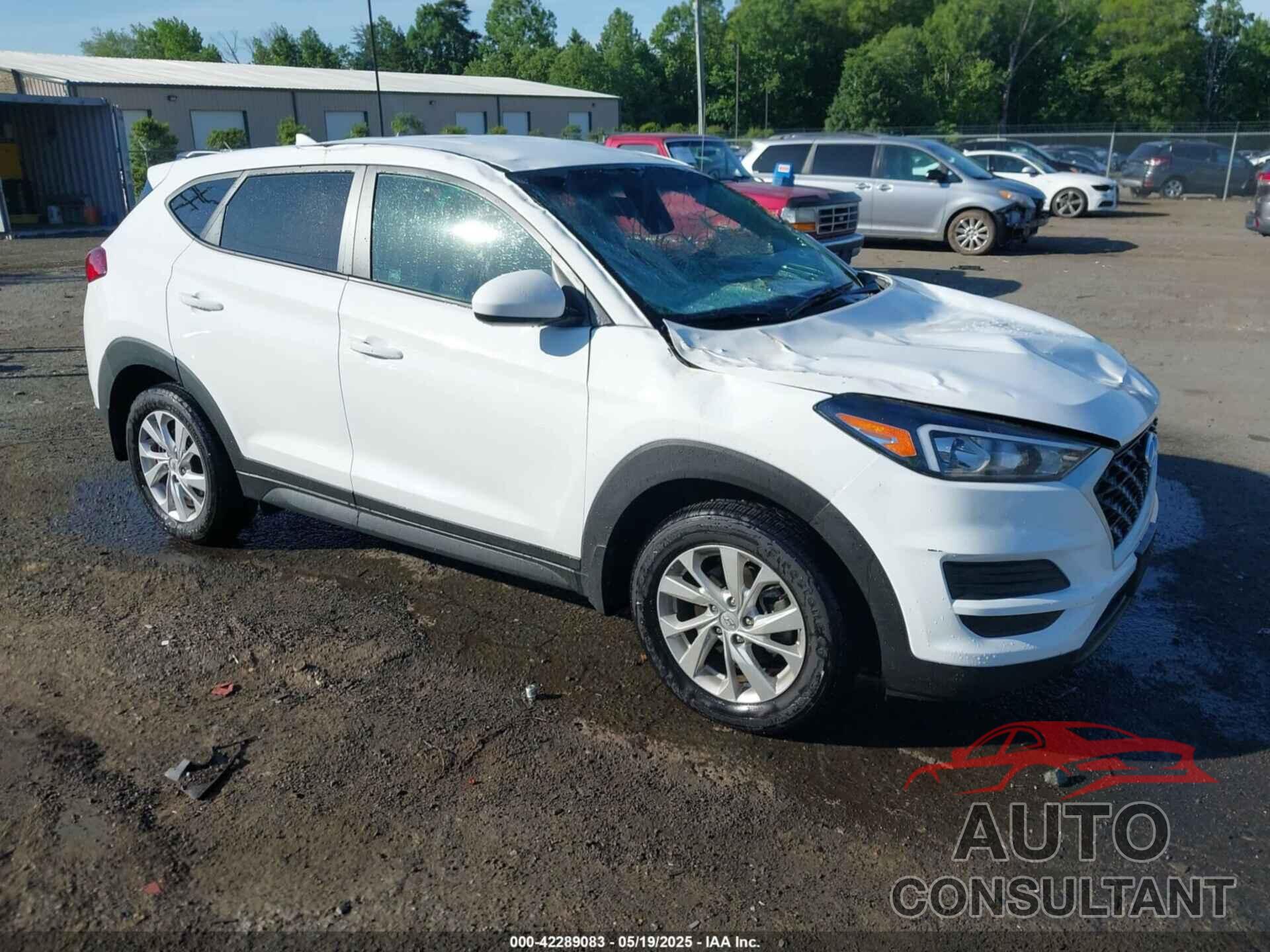 HYUNDAI TUCSON 2019 - KM8J2CA42KU006763