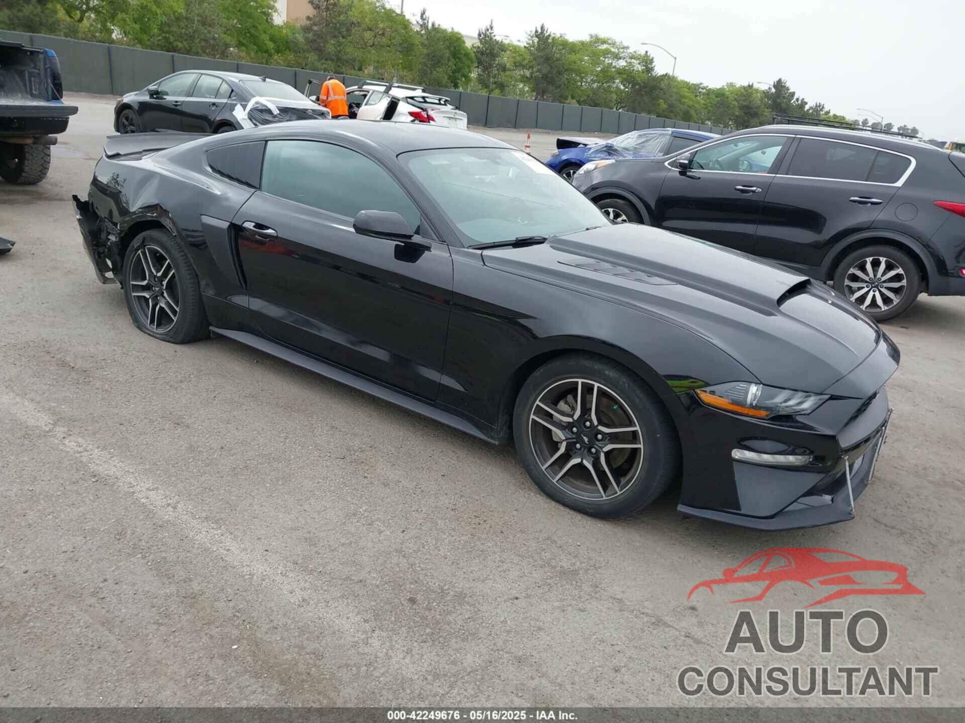 FORD MUSTANG 2019 - 1FA6P8TH5K5196535