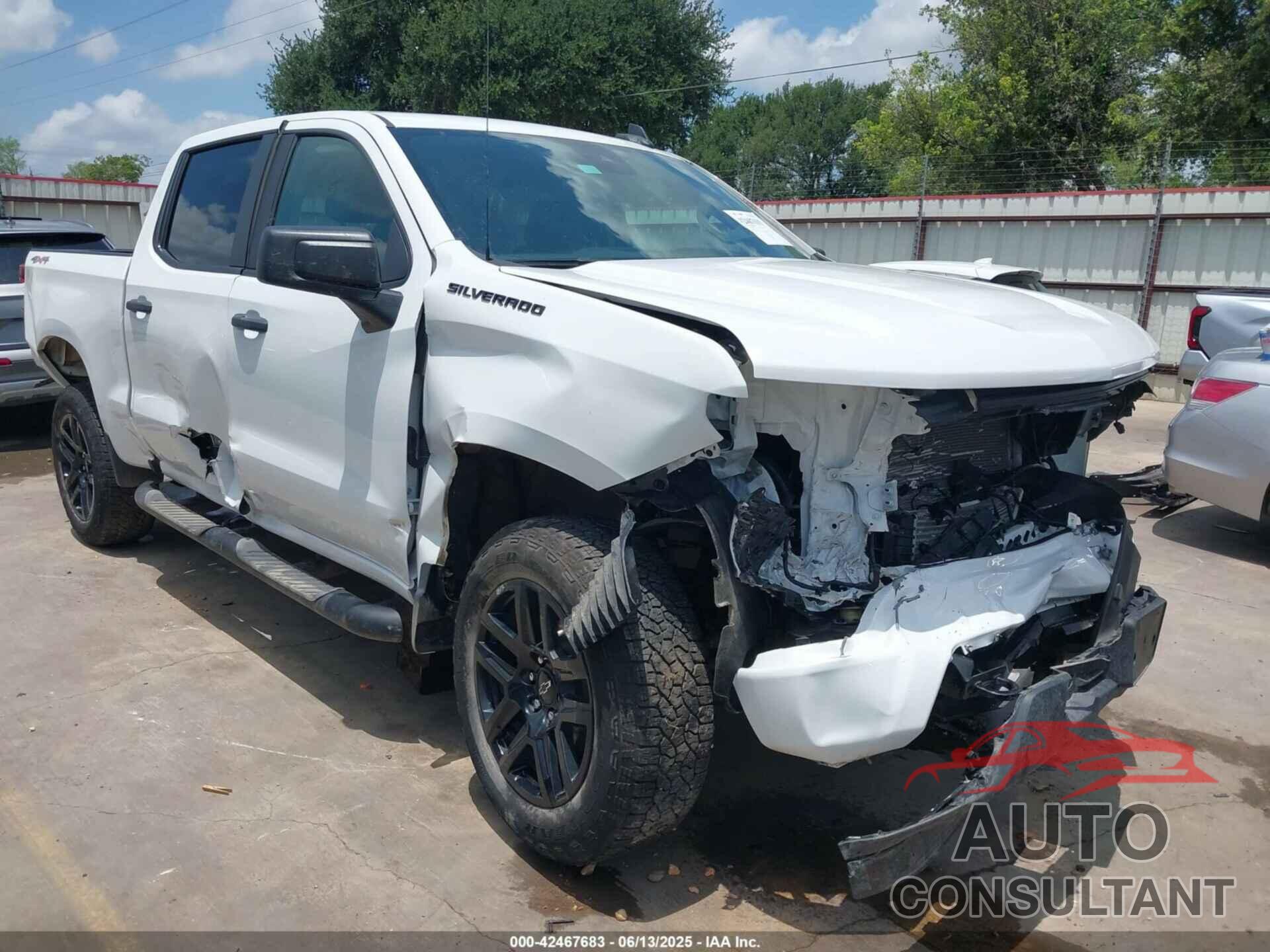 CHEVROLET SILVERADO 1500 2024 - 1GCPDBEK8RZ241824