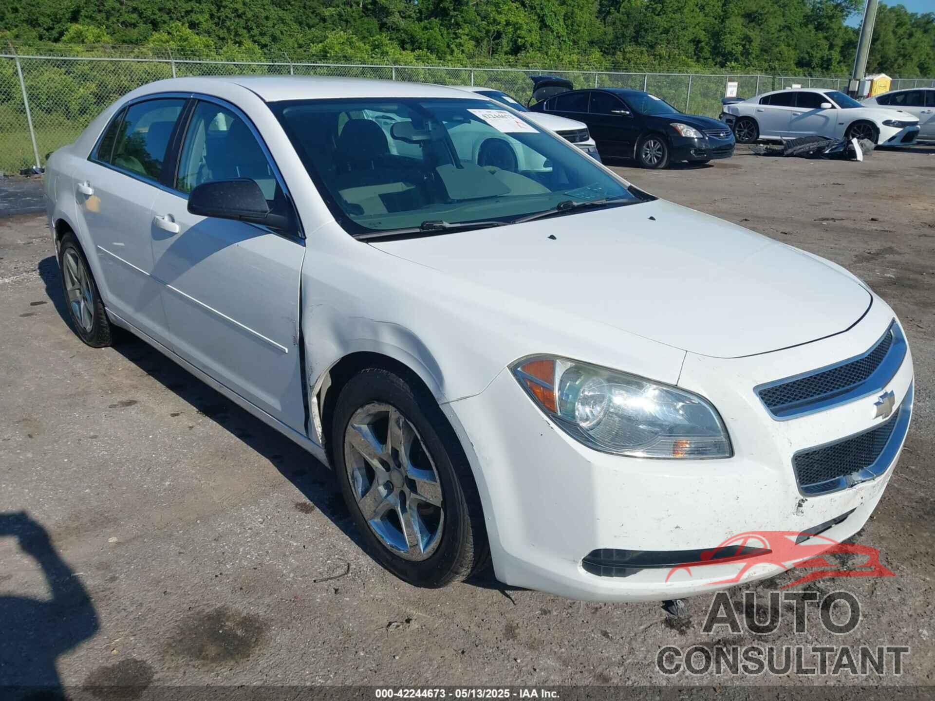 CHEVROLET MALIBU 2011 - 1G1ZA5EU0BF106535