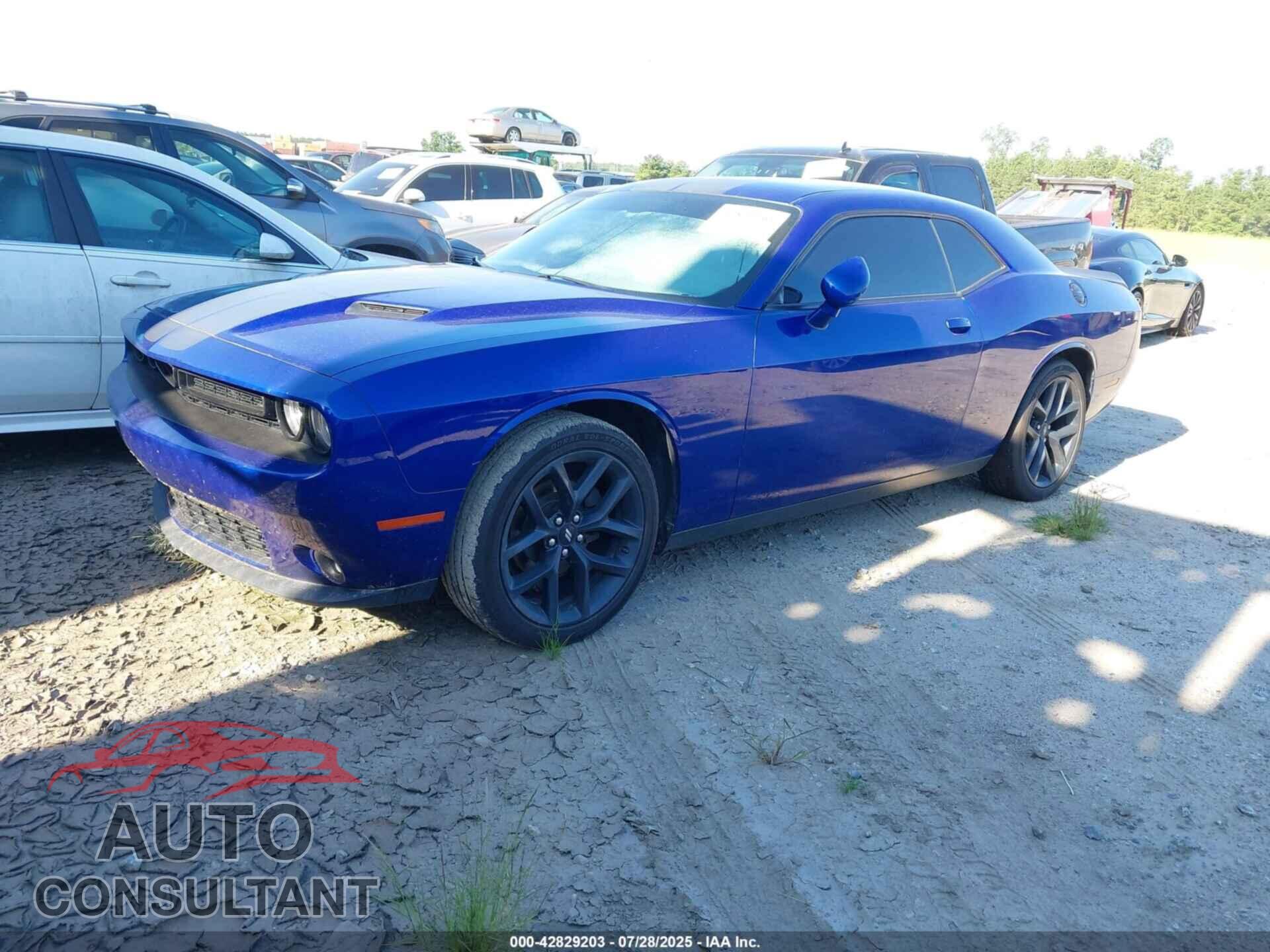DODGE CHALLENGER 2019 - 2C3CDZAG9KH557297
