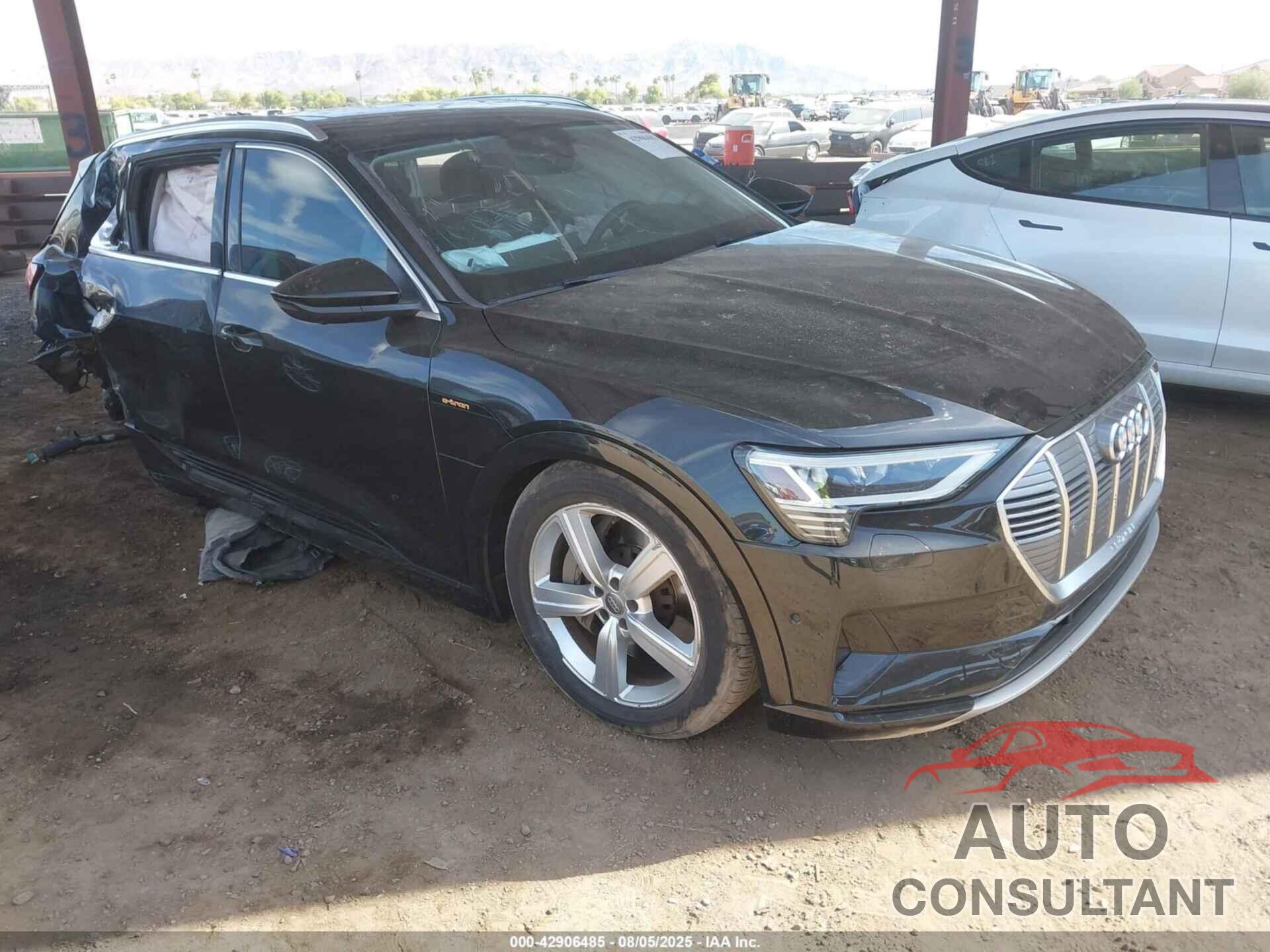 AUDI E-TRON 2019 - WA1LAAGE6KB022331