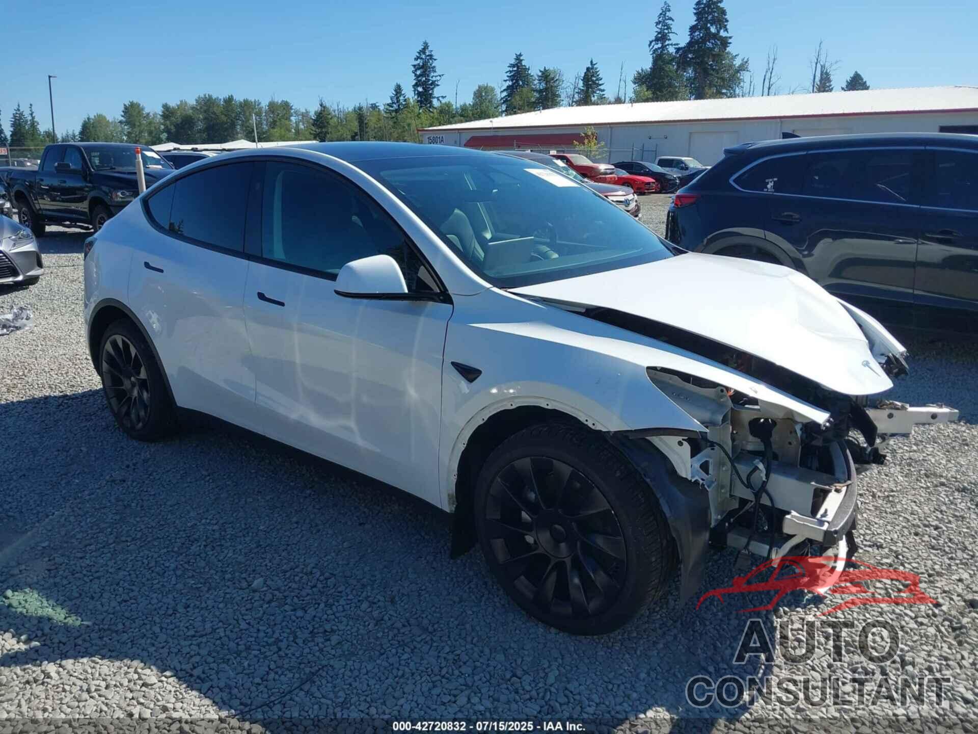 TESLA MODEL Y 2024 - 7SAYGDEEXRF164237