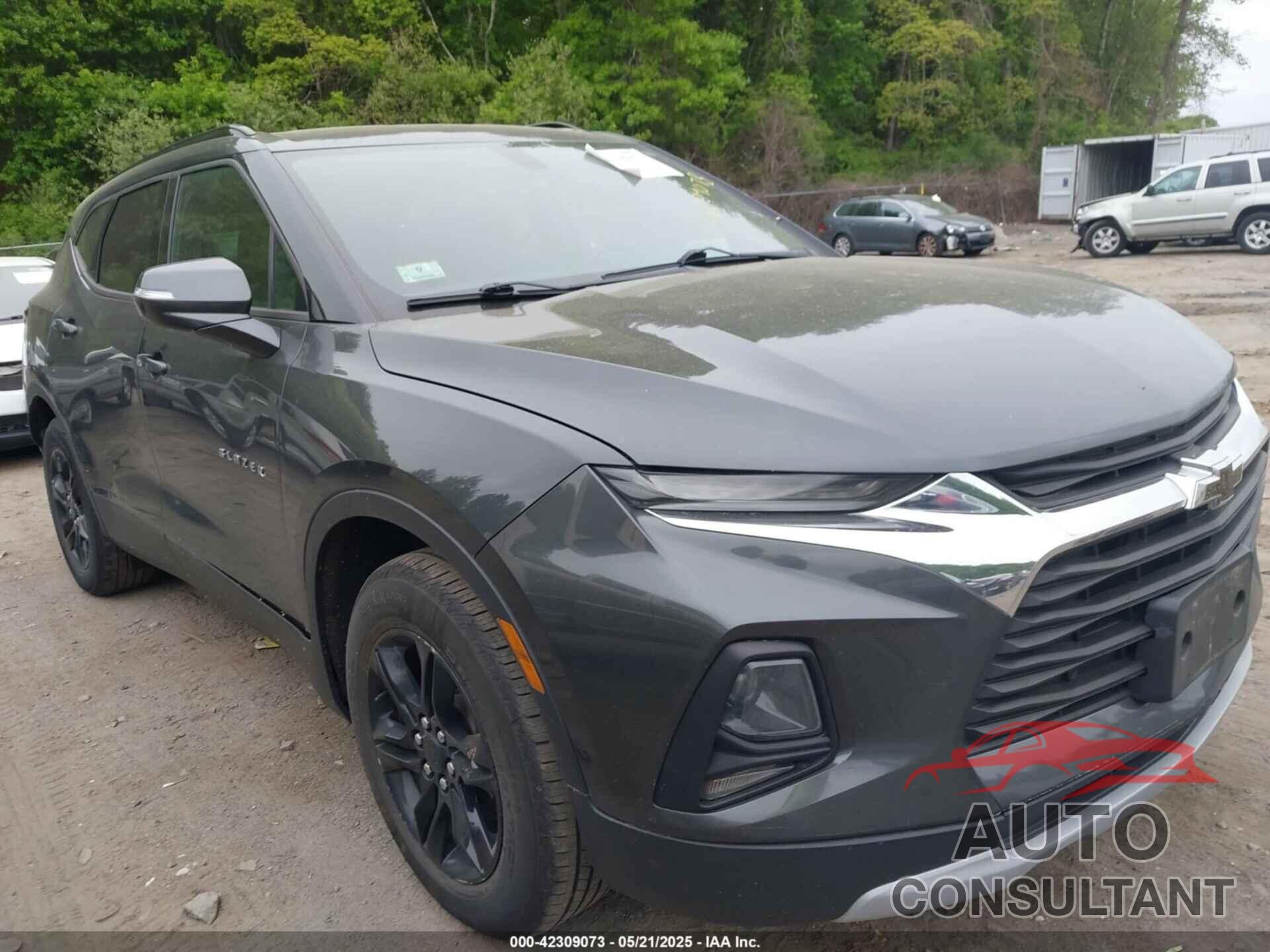 CHEVROLET BLAZER 2019 - 3GNKBGRS9KS684601