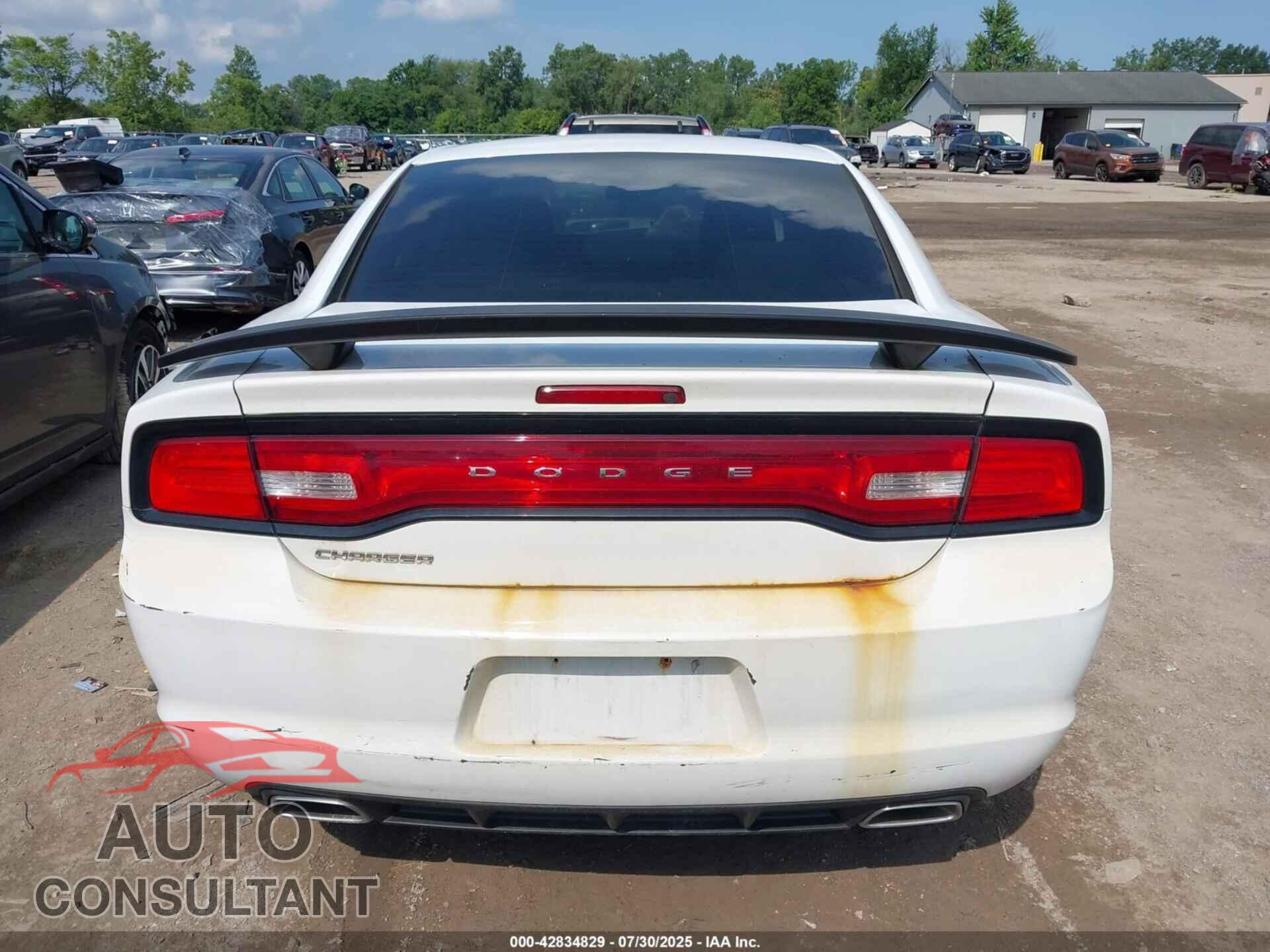 DODGE CHARGER 2013 - 2C3CDXBG2DH689596