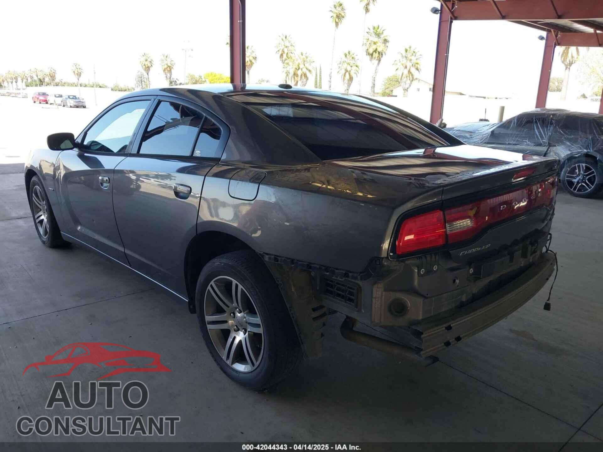 DODGE CHARGER 2013 - 2C3CDXCT0DH745384