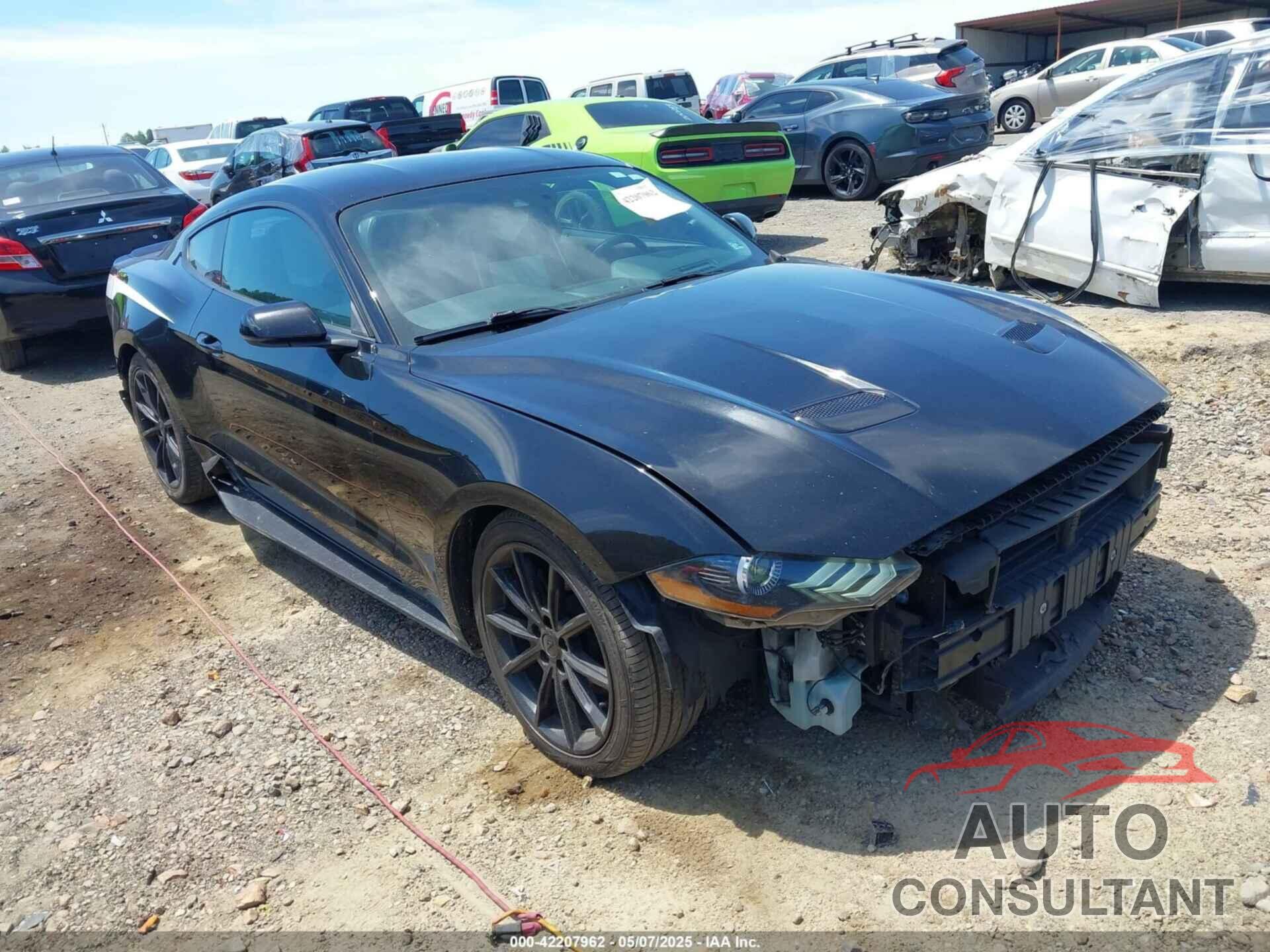 FORD MUSTANG 2019 - 1FA6P8TH4K5159573