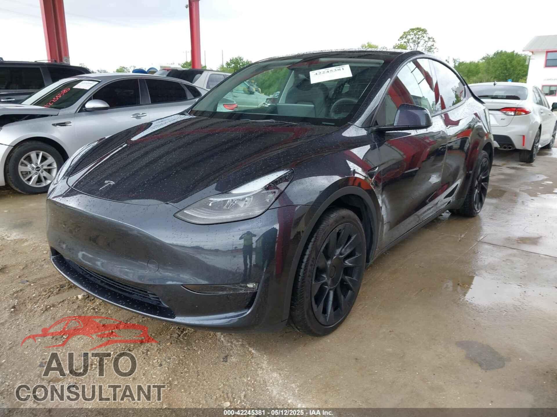 TESLA MODEL Y 2024 - 7SAYGAEE3RF039918