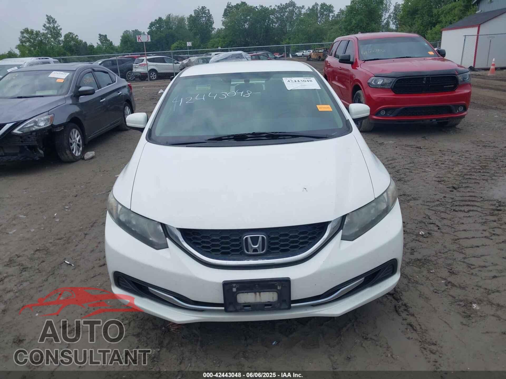 HONDA CIVIC 2015 - 19XFB2F54FE050841