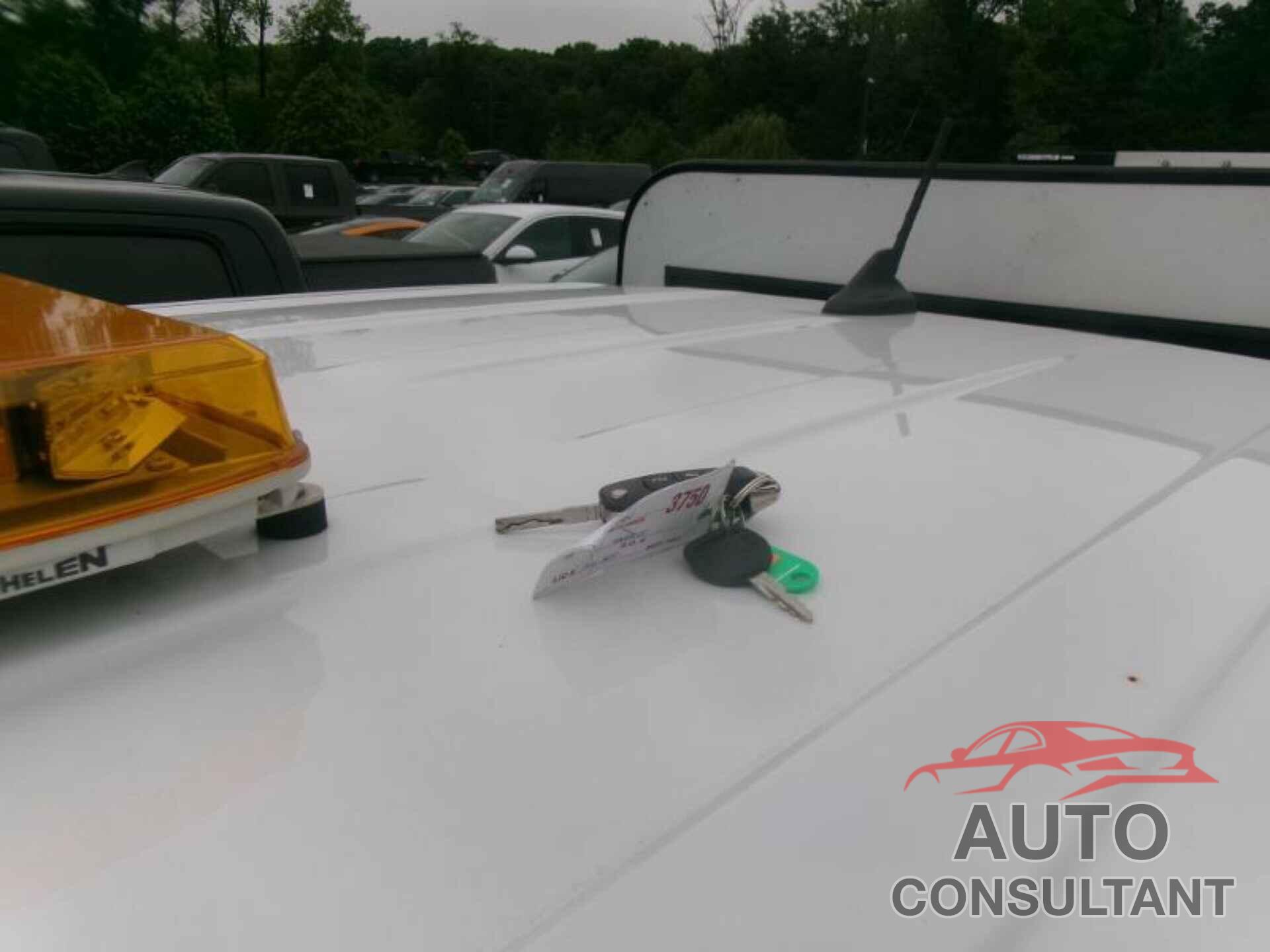 FORD MAVERICK 2022 - 3FTTW8F91NRA65351