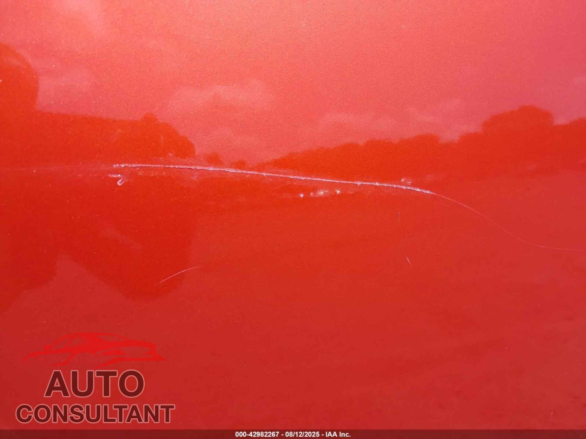 DODGE NITRO 2011 - 1D4PU6GX8BW554480
